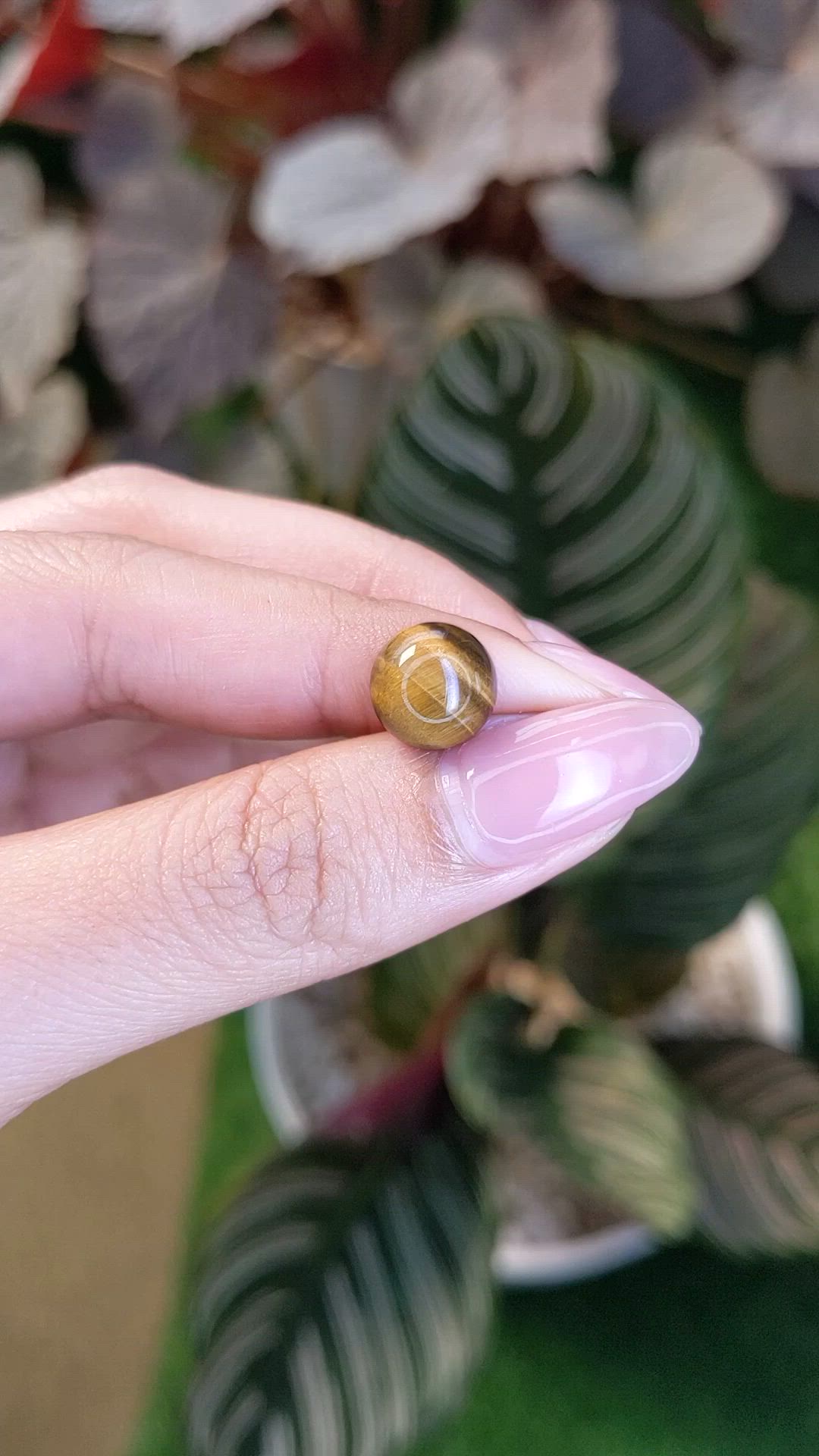 4.47 Ct. Cabochon Tiger's Eye from Ceylon (Sri Lanka) Size Video