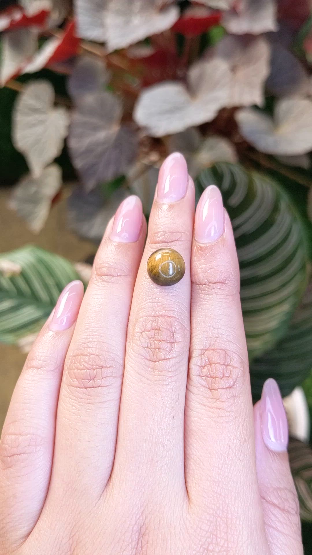 4.47 Ct. Cabochon Tiger's Eye from Ceylon (Sri Lanka) Size Video