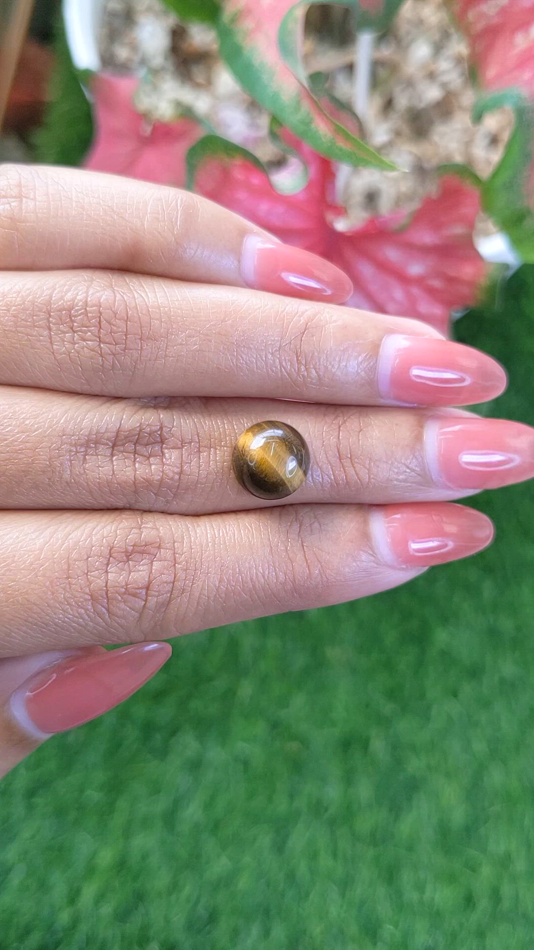 4.39 Ct. Cabochon Tiger's Eye from Ceylon (Sri Lanka) Size Video