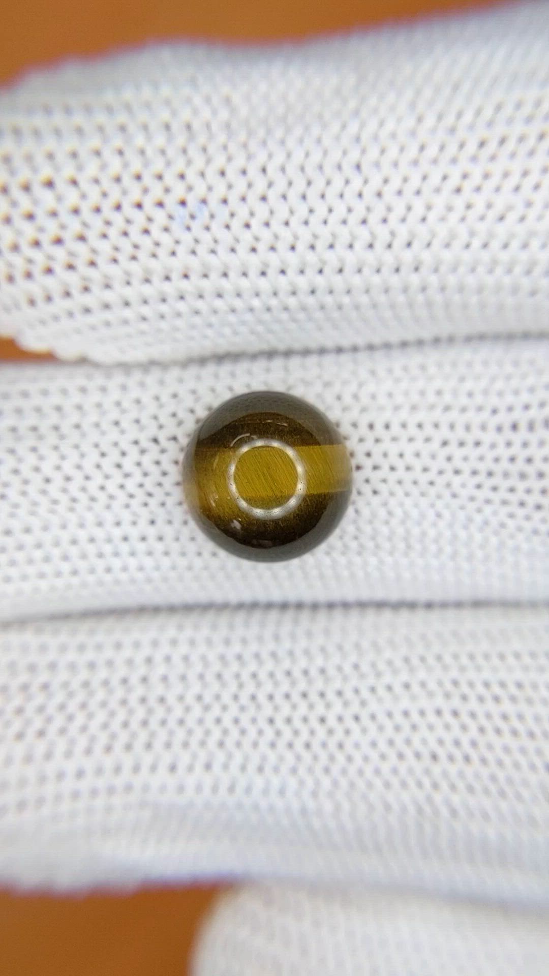 4.39 Ct. Cabochon Tiger's Eye from Ceylon (Sri Lanka) Size Video