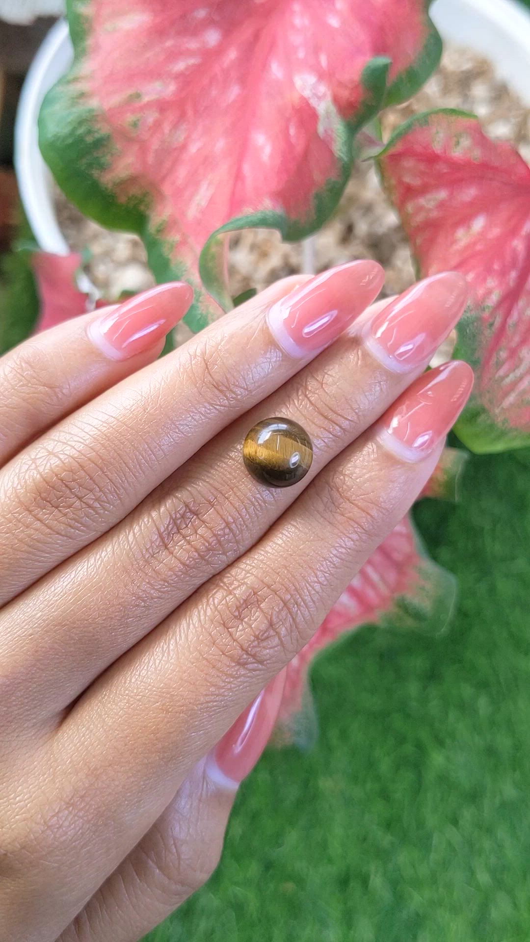 4.39 Ct. Cabochon Tiger's Eye from Ceylon (Sri Lanka) Size Video