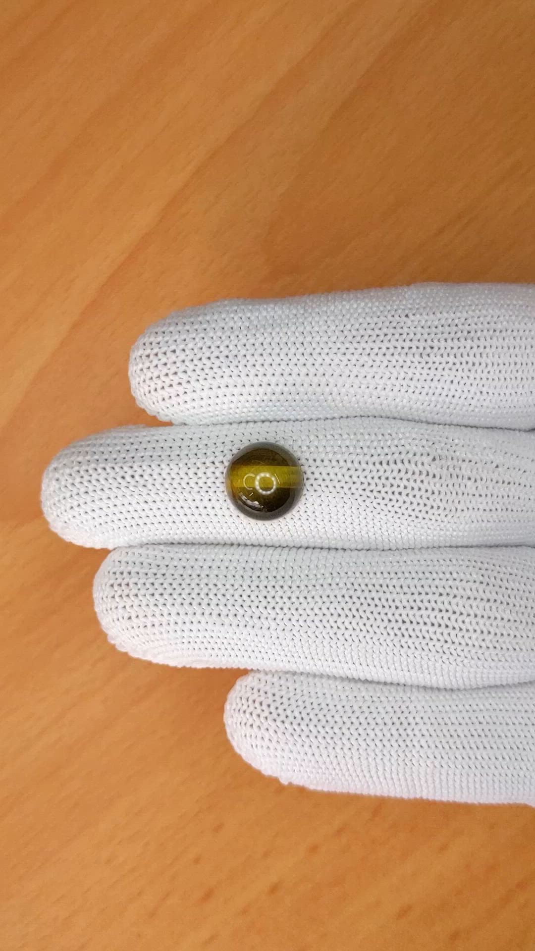 4.39 Ct. Cabochon Tiger's Eye from Ceylon (Sri Lanka) Size Video
