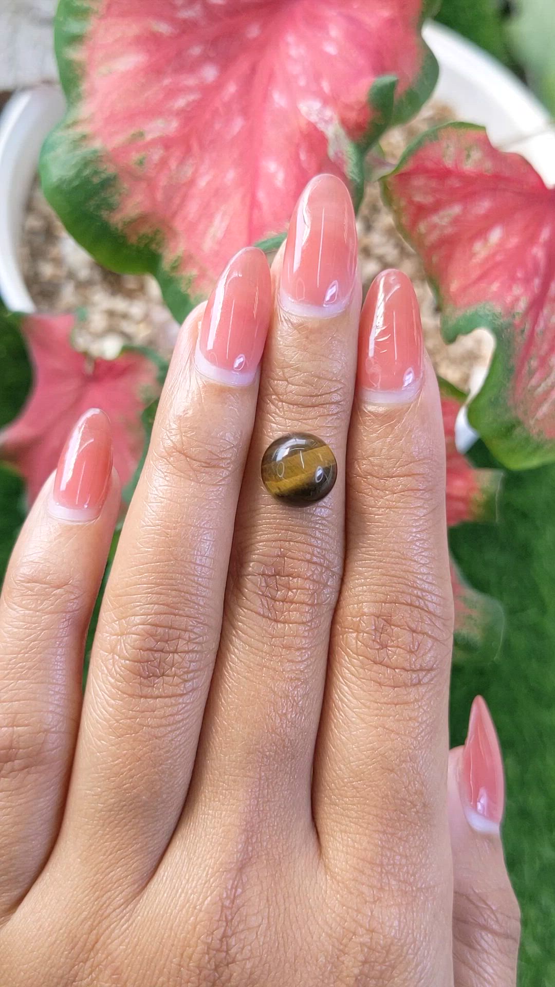 4.39 Ct. Cabochon Tiger's Eye from Ceylon (Sri Lanka) Size Video