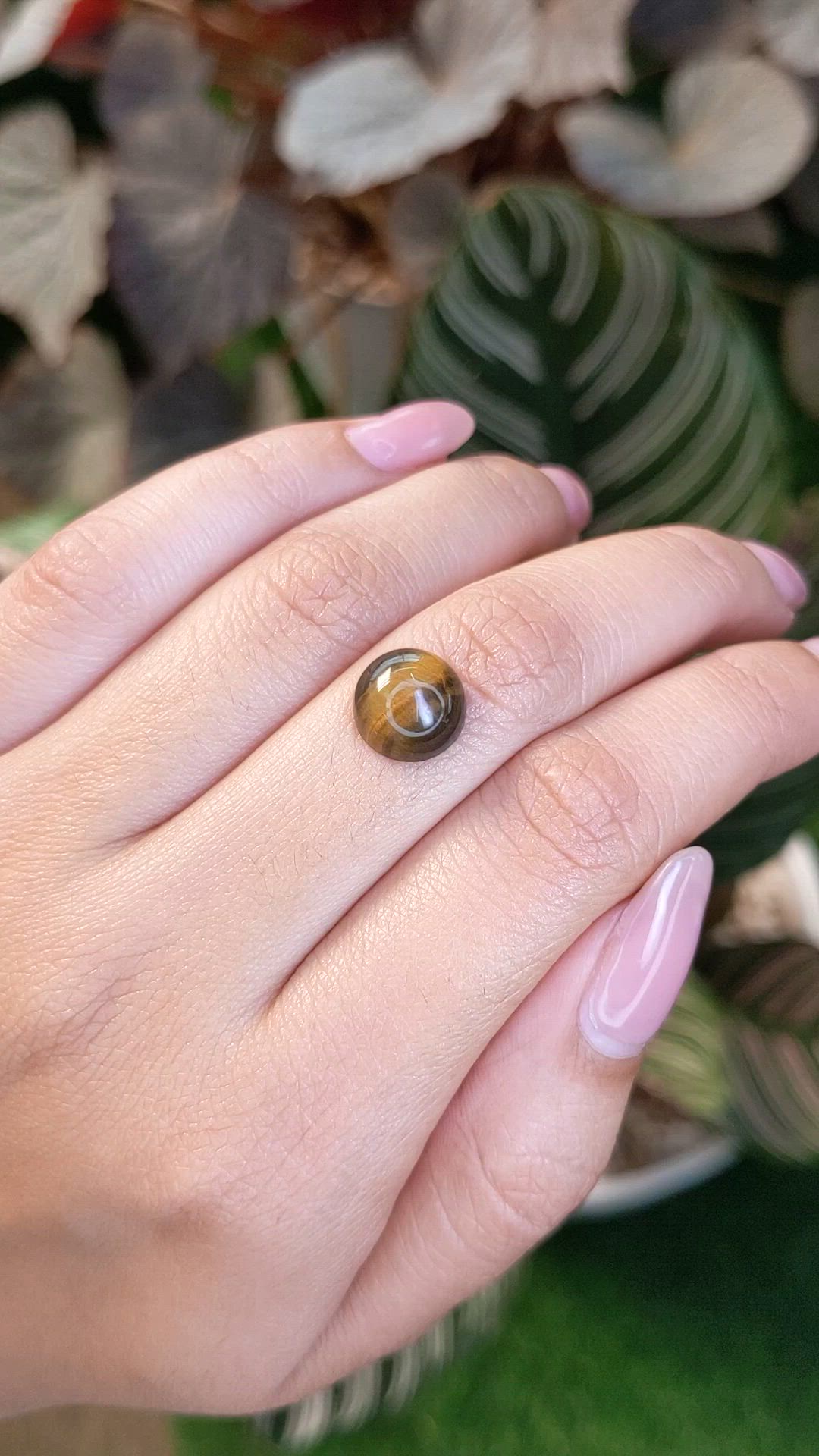 4.42 Ct. Cabochon Tiger's Eye from Ceylon (Sri Lanka) Size Video