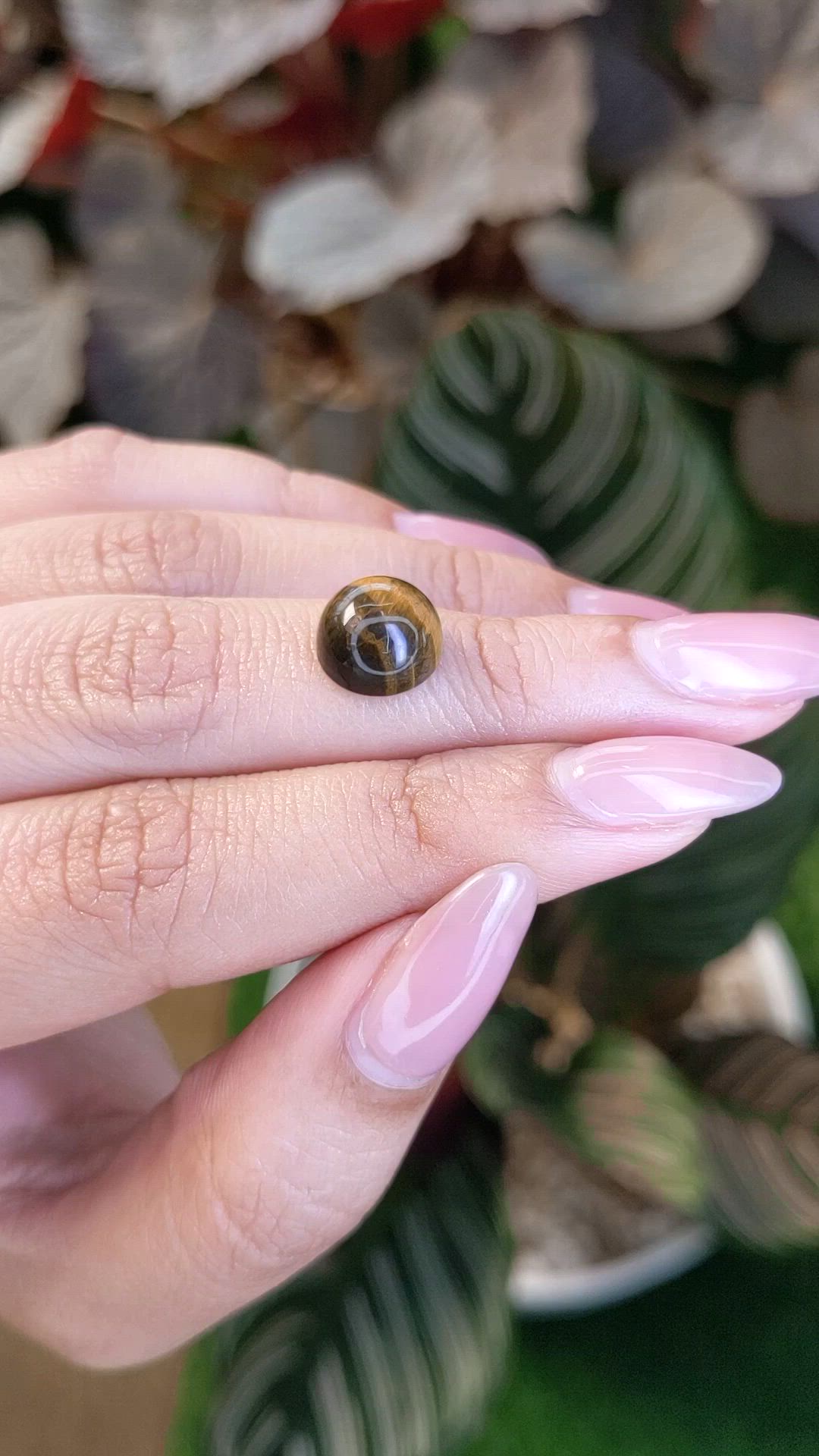 4.42 Ct. Cabochon Tiger's Eye from Ceylon (Sri Lanka) Size Video