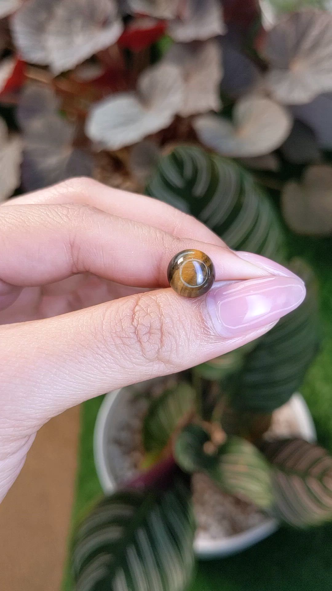 4.42 Ct. Cabochon Tiger's Eye from Ceylon (Sri Lanka) Size Video