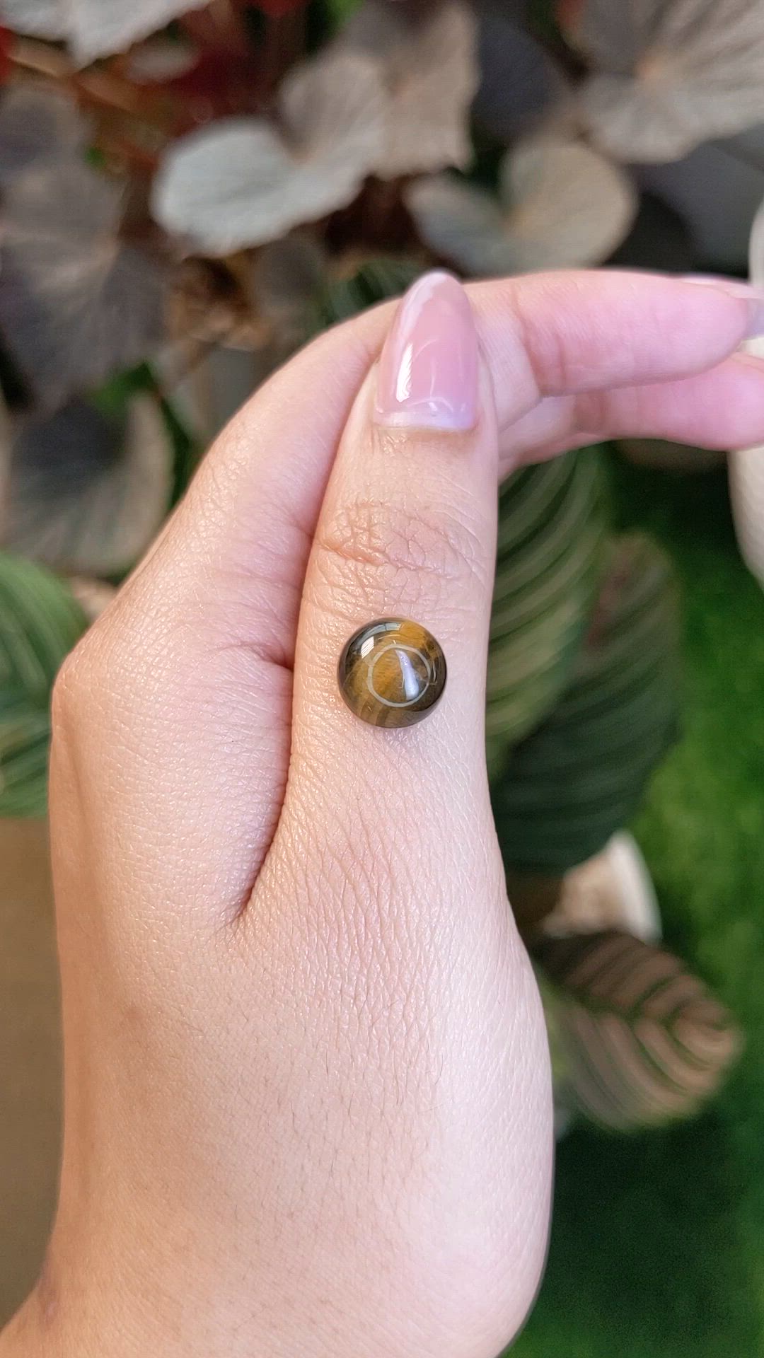 4.42 Ct. Cabochon Tiger's Eye from Ceylon (Sri Lanka) Size Video