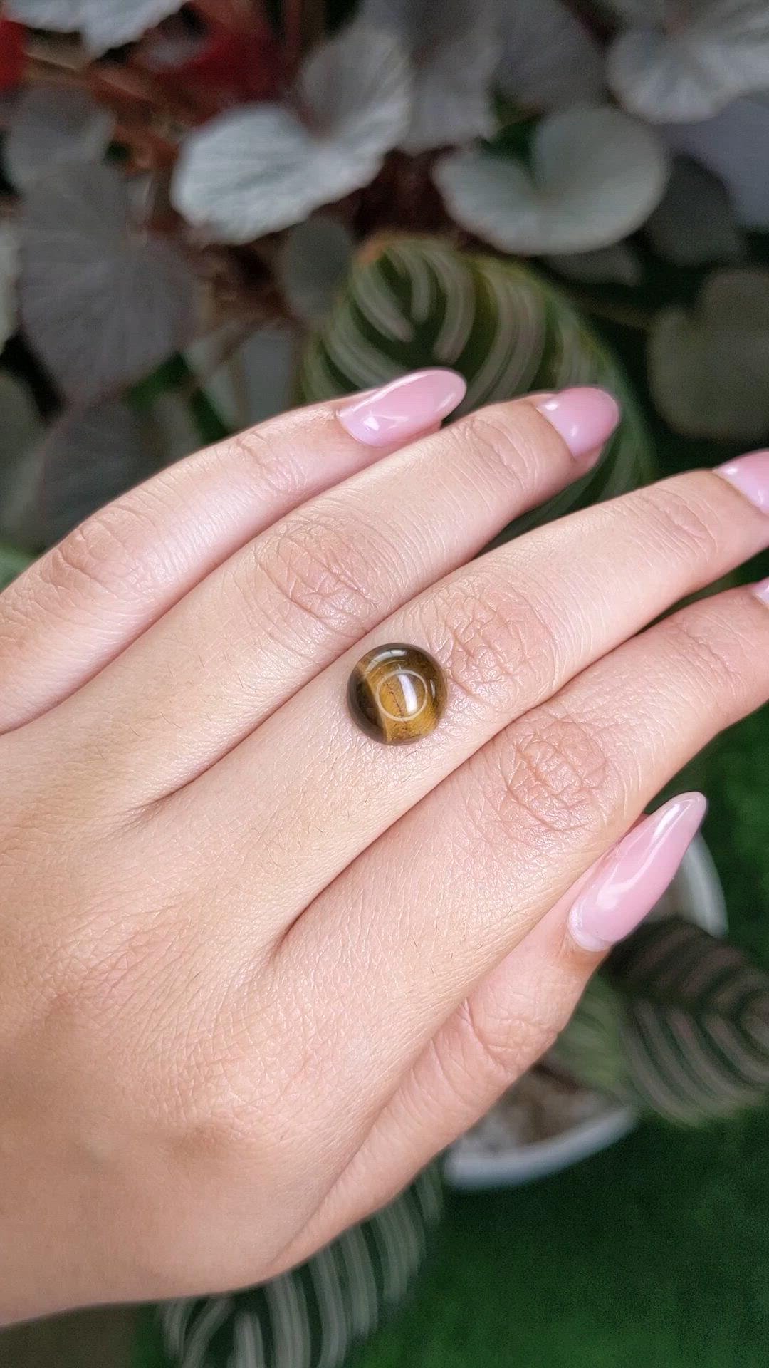 4.63 Ct. Cabochon Tiger's Eye from Ceylon (Sri Lanka) Size Video