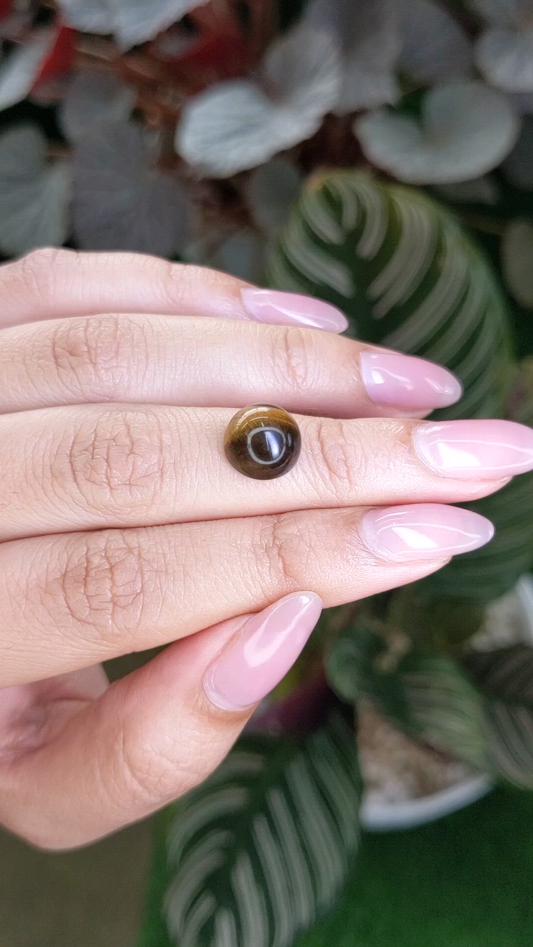 4.63 Ct. Cabochon Tiger's Eye from Ceylon (Sri Lanka) Size Video