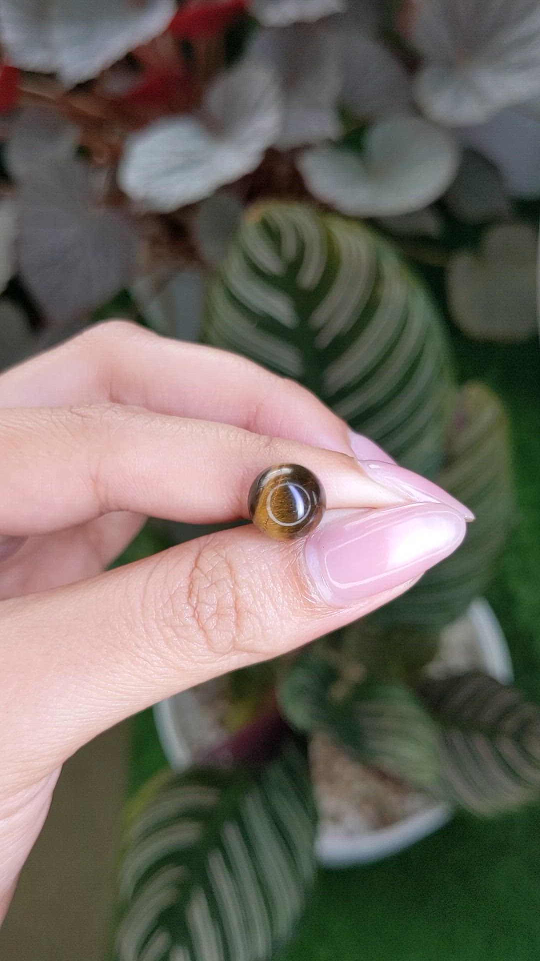 4.63 Ct. Cabochon Tiger's Eye from Ceylon (Sri Lanka) Size Video