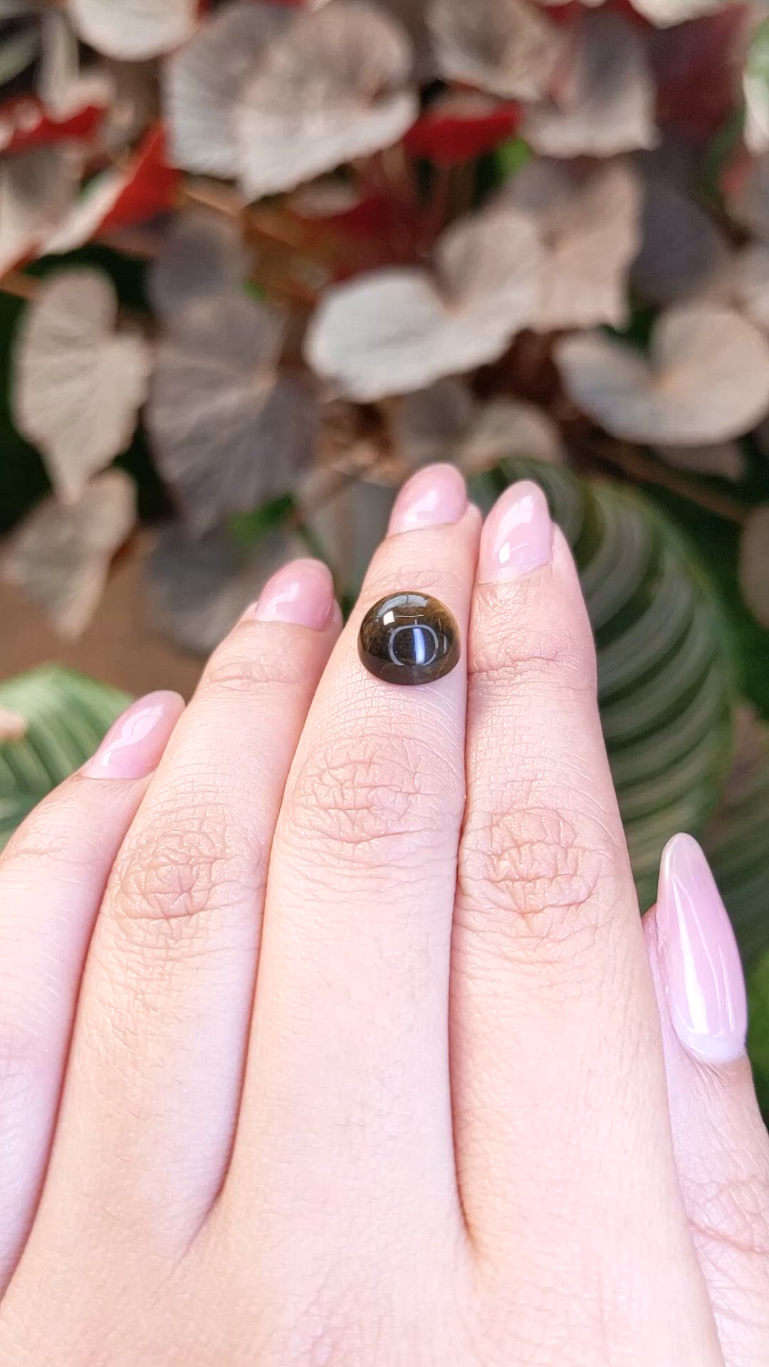 4.45 Ct. Cabochon Tiger's Eye from Ceylon (Sri Lanka) Size Video