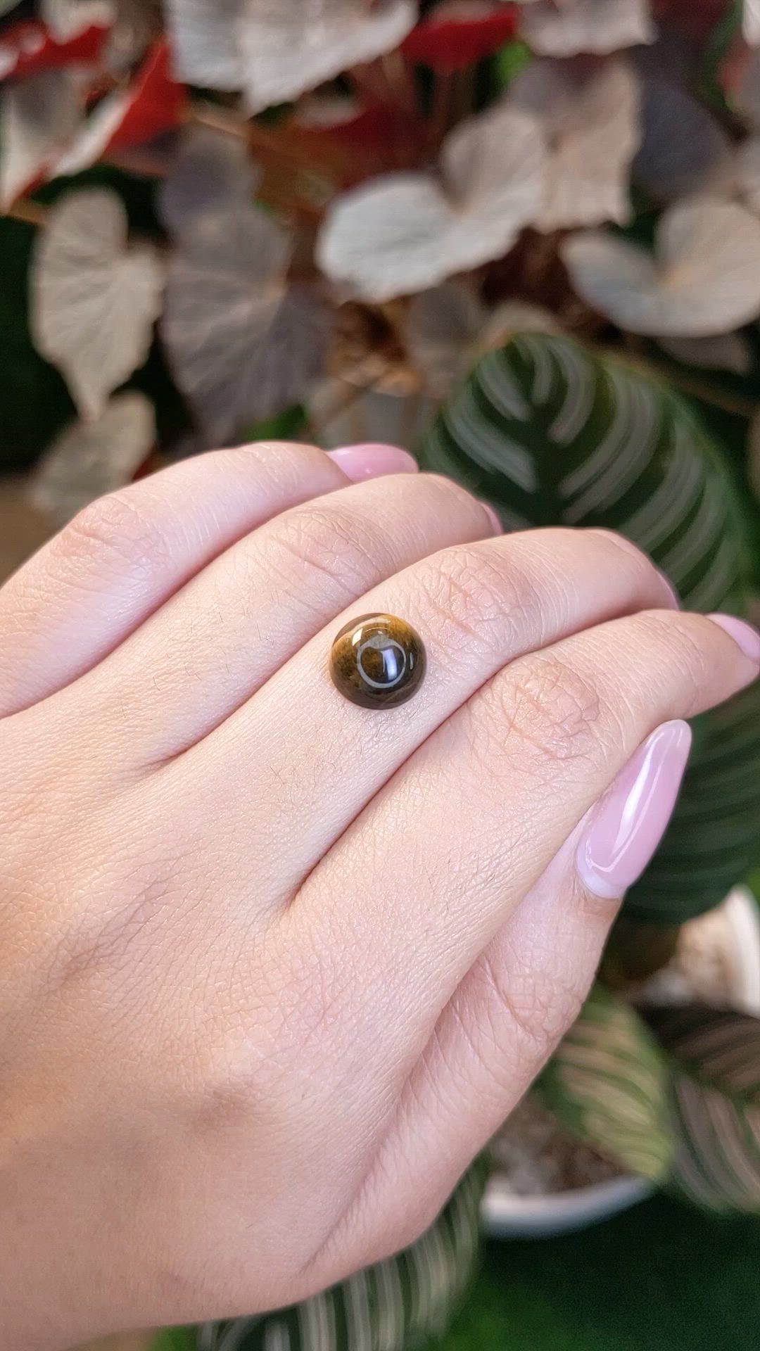 4.45 Ct. Cabochon Tiger's Eye from Ceylon (Sri Lanka) Size Video