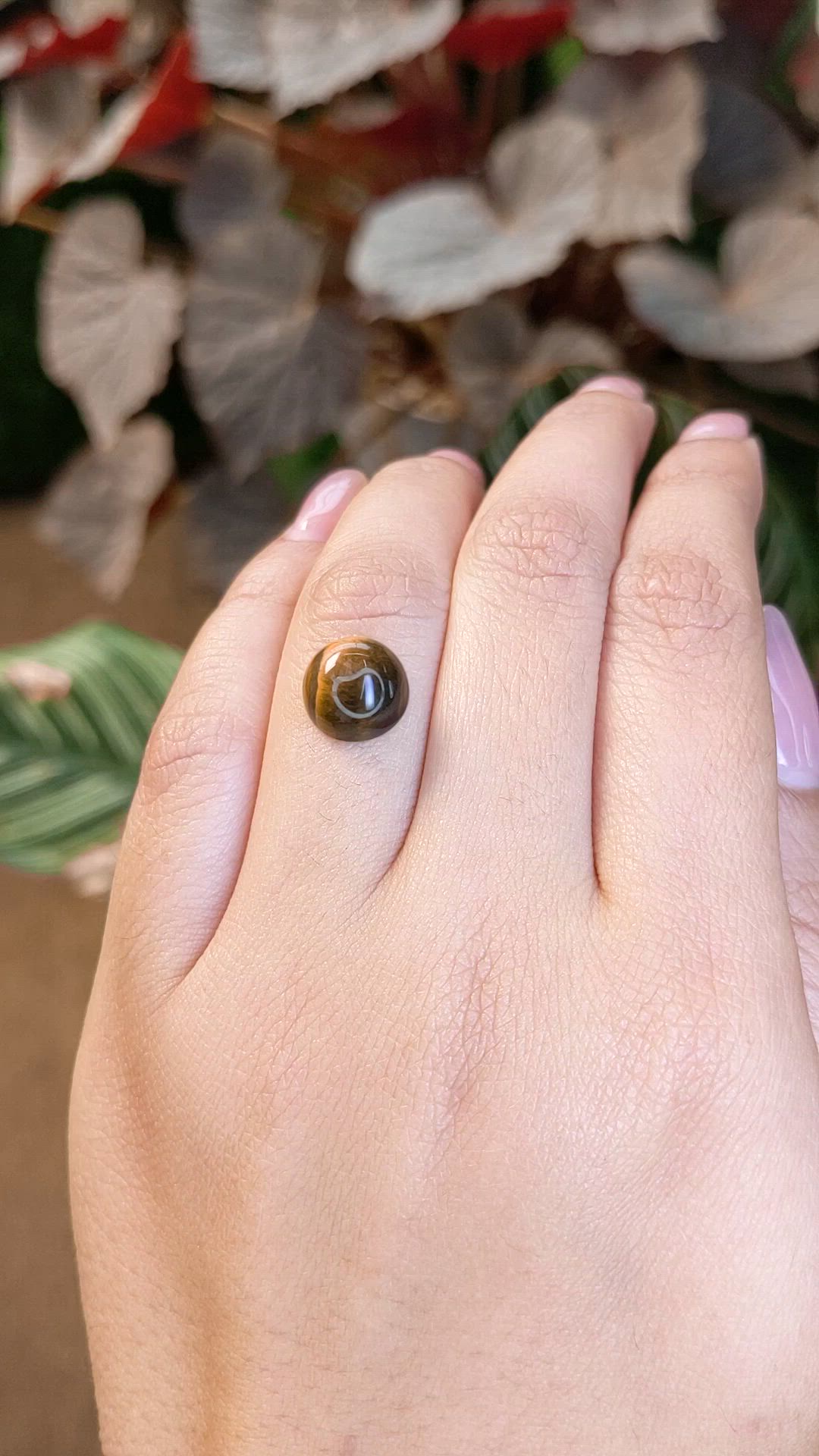 4.45 Ct. Cabochon Tiger's Eye from Ceylon (Sri Lanka) Size Video