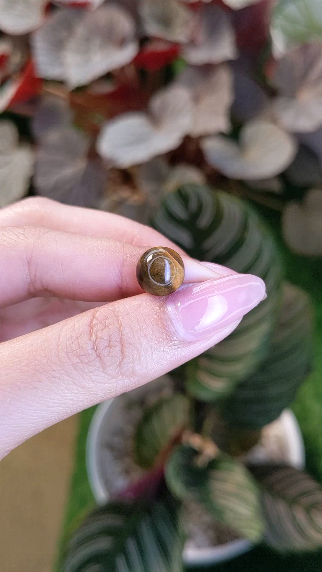 4.45 Ct. Cabochon Tiger's Eye from Ceylon (Sri Lanka) Size Video