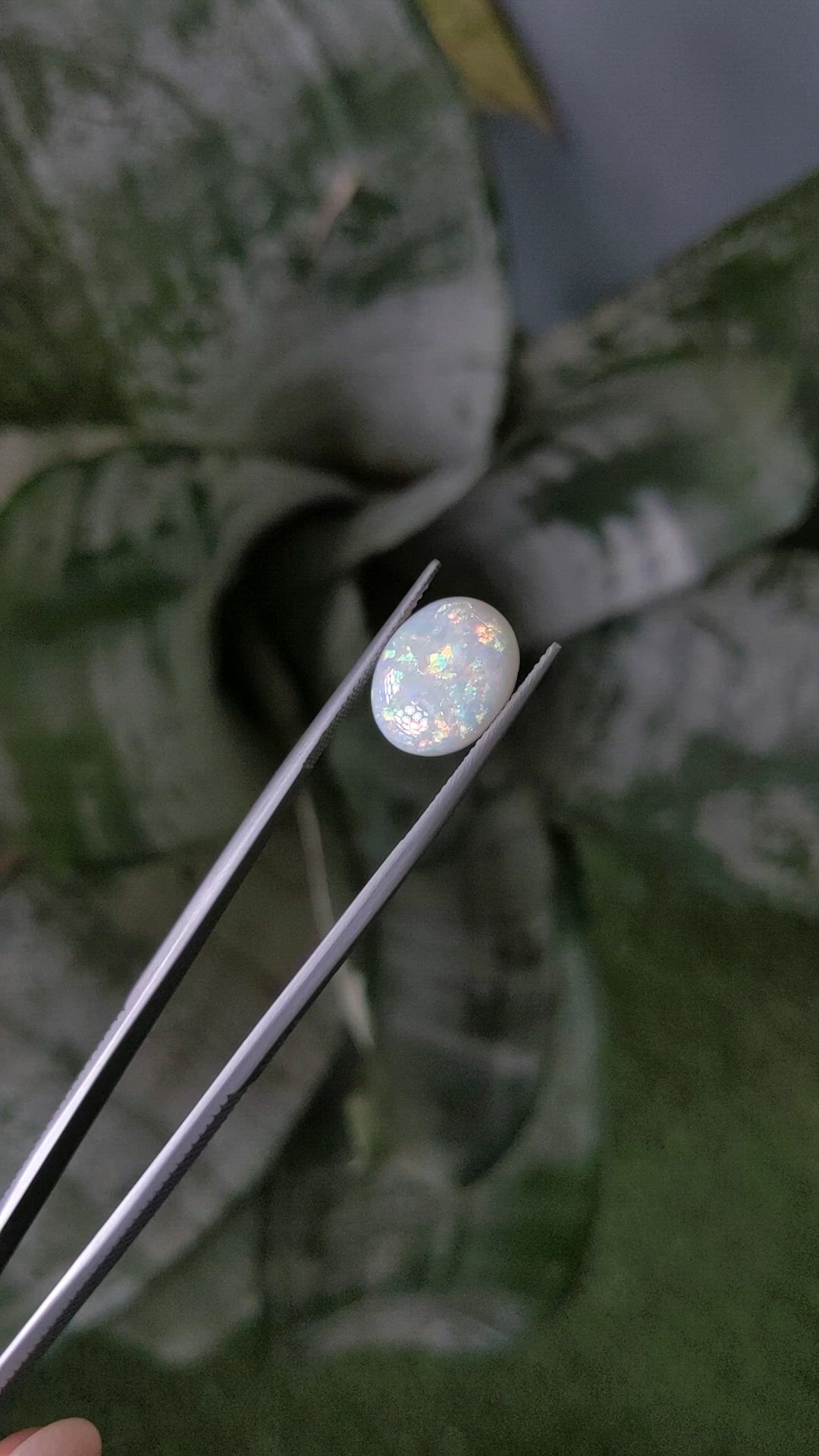 3.76 Ct. Multi Color Cabochon White Opal from Australia Size Video