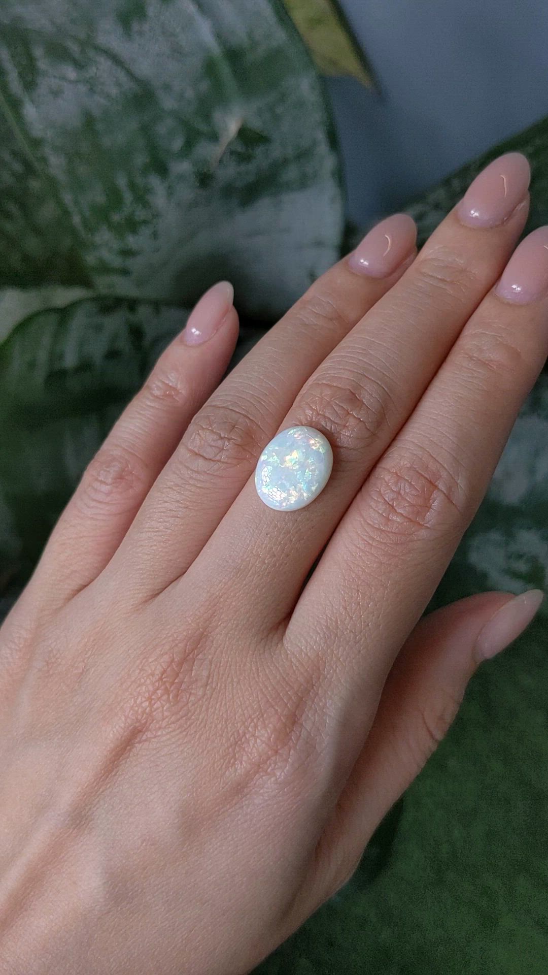 3.76 Ct. Multi Color Cabochon White Opal from Australia Size Video