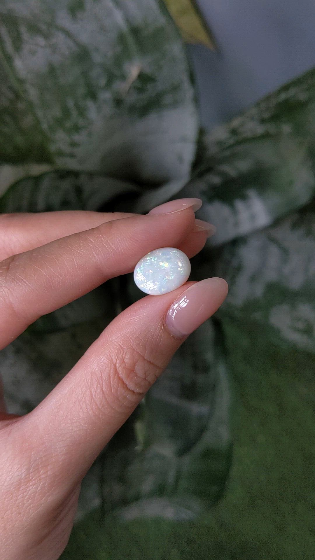 3.76 Ct. Multi Color Cabochon White Opal from Australia Size Video