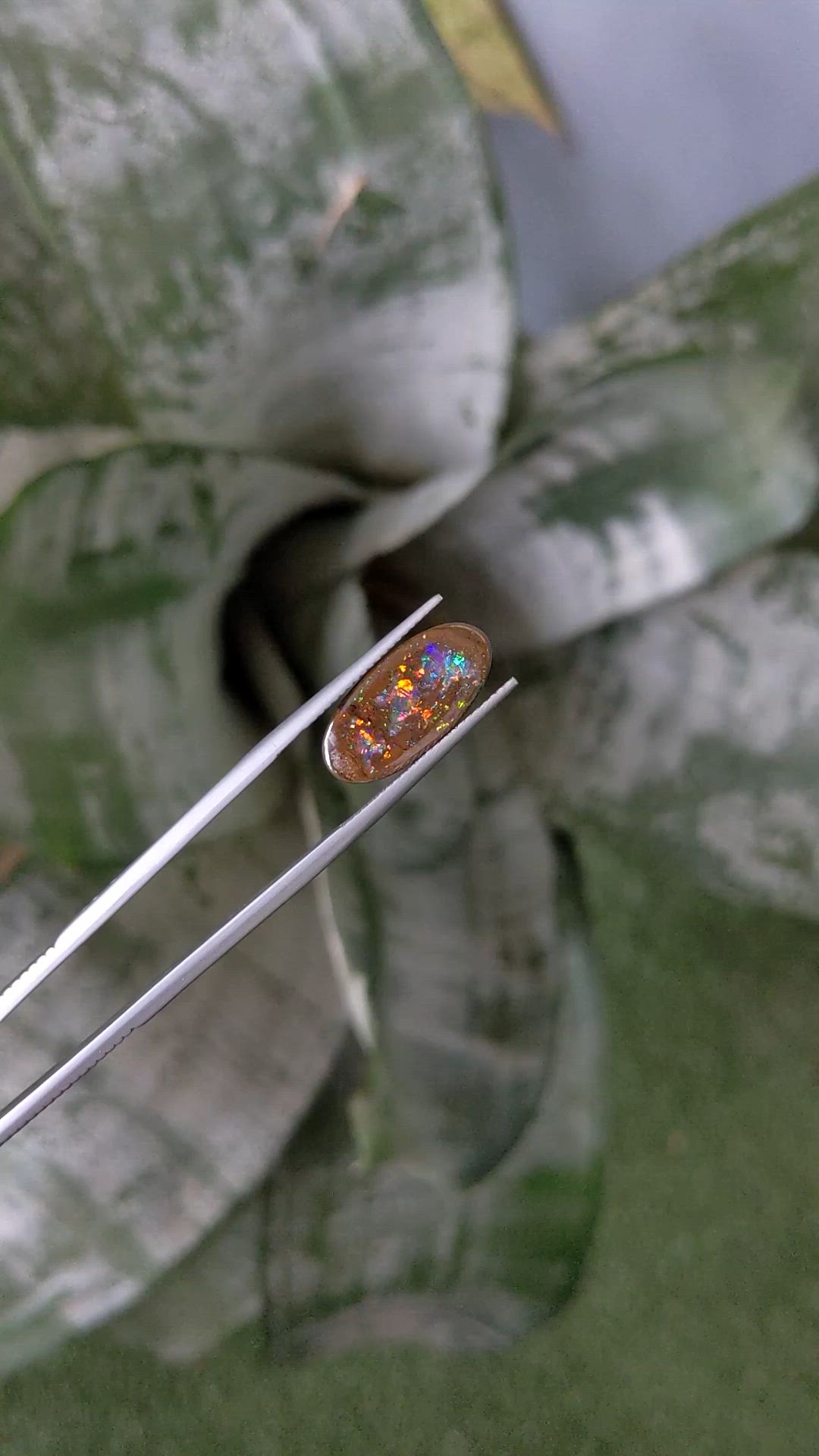 5.54 Ct. Multi Color Black Opal from Australia Size Video
