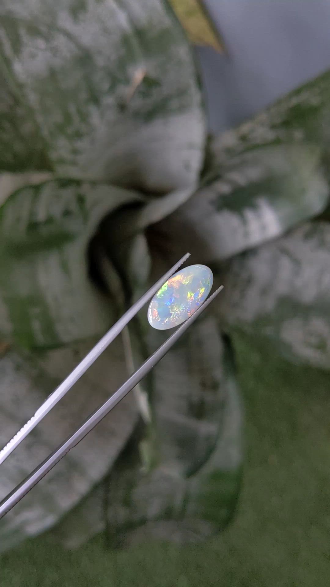 2.63 Ct. Multi Color White Opal from Australia Size Video