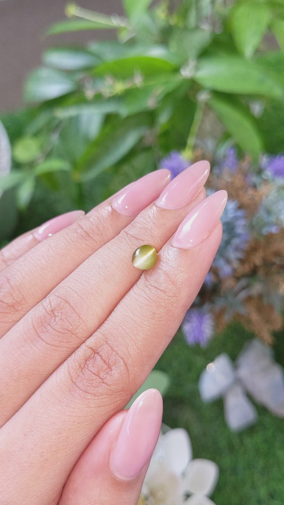 1.48 Ct. Yellowish Green Cabochon Chrysoberyl from Tanzania Size Video