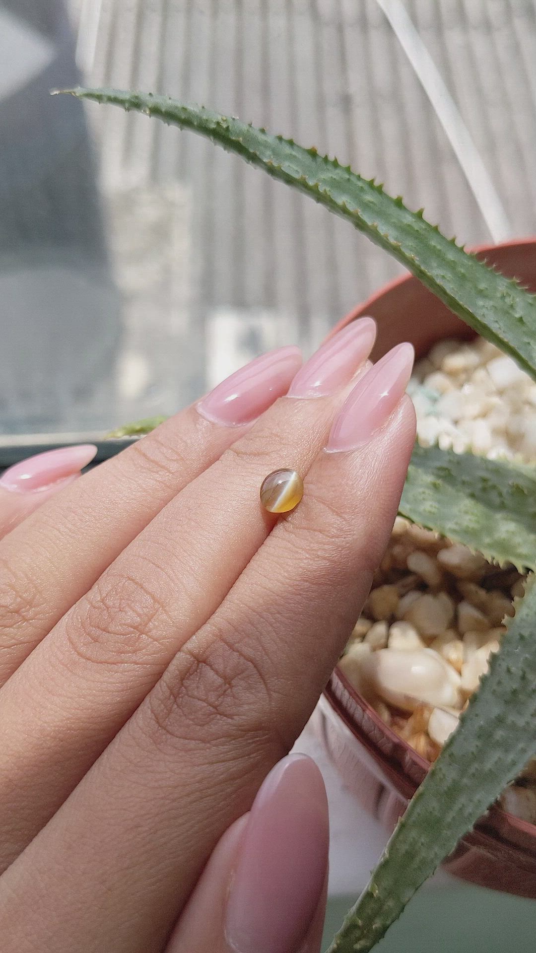 0.99 Ct. Brown Cabochon Chrysoberyl from Tanzania Size Video