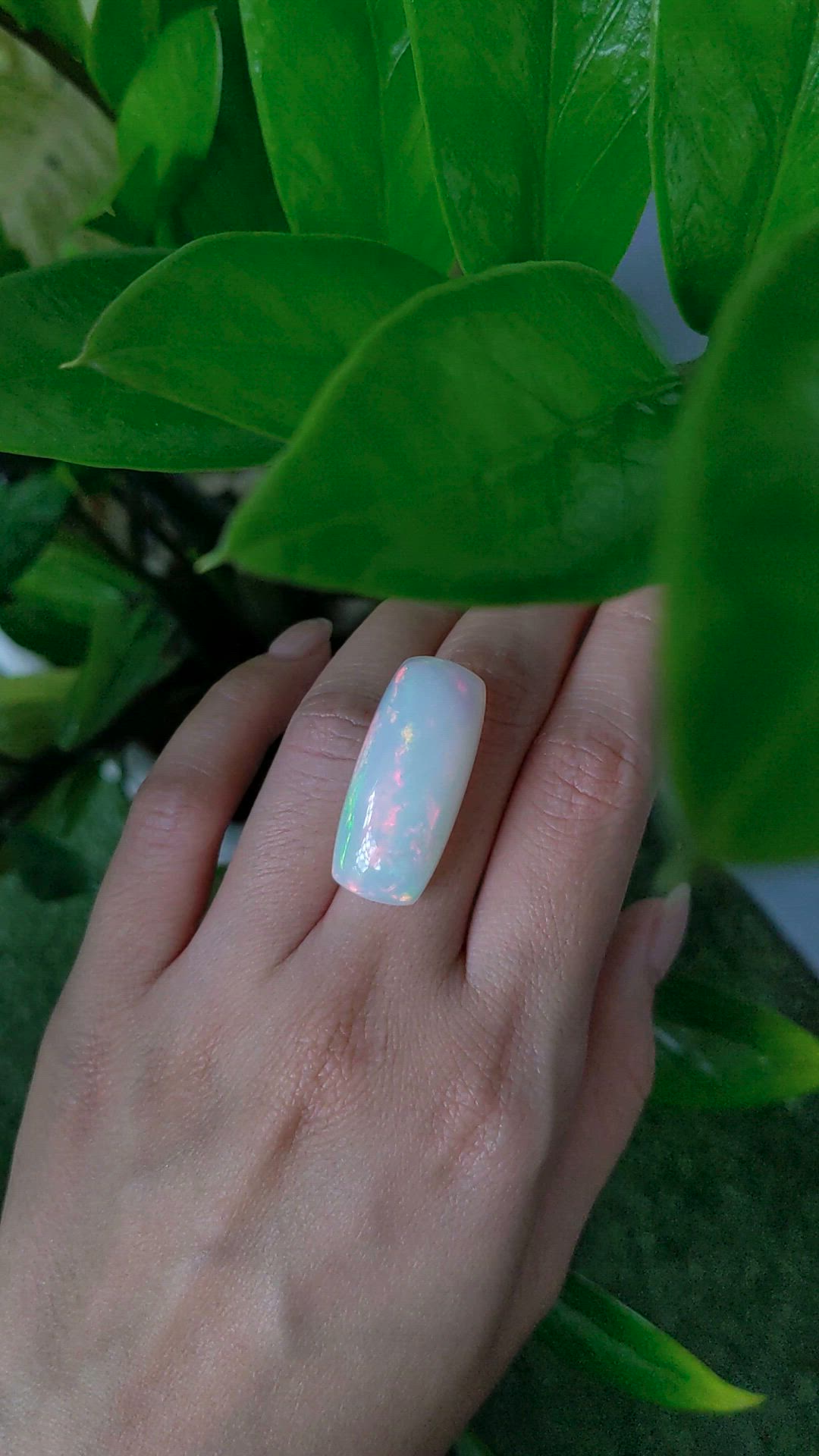34.75 Ct. Multi Color Cabochon White Opal from Australia Size Video