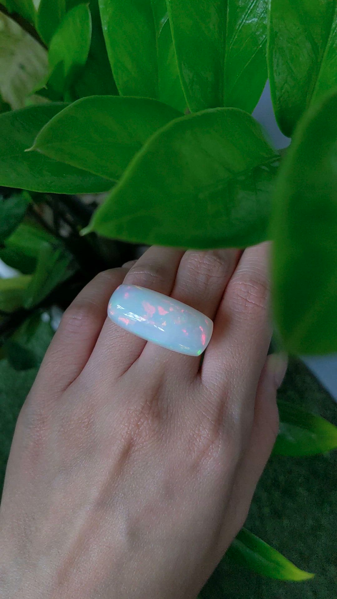 34.75 Ct. Multi Color Cabochon White Opal from Australia Size Video