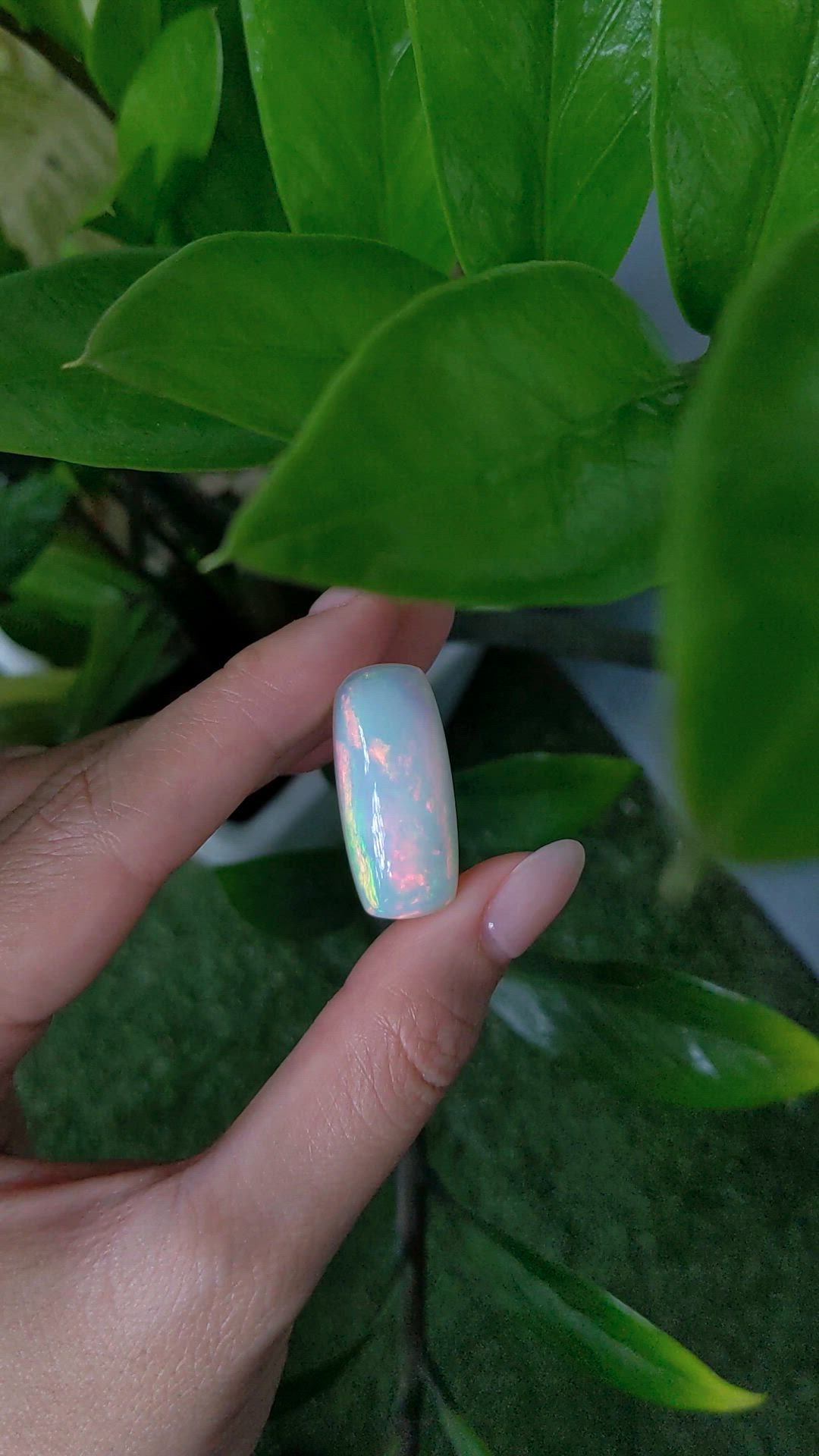 34.75 Ct. Multi Color Cabochon White Opal from Australia Size Video
