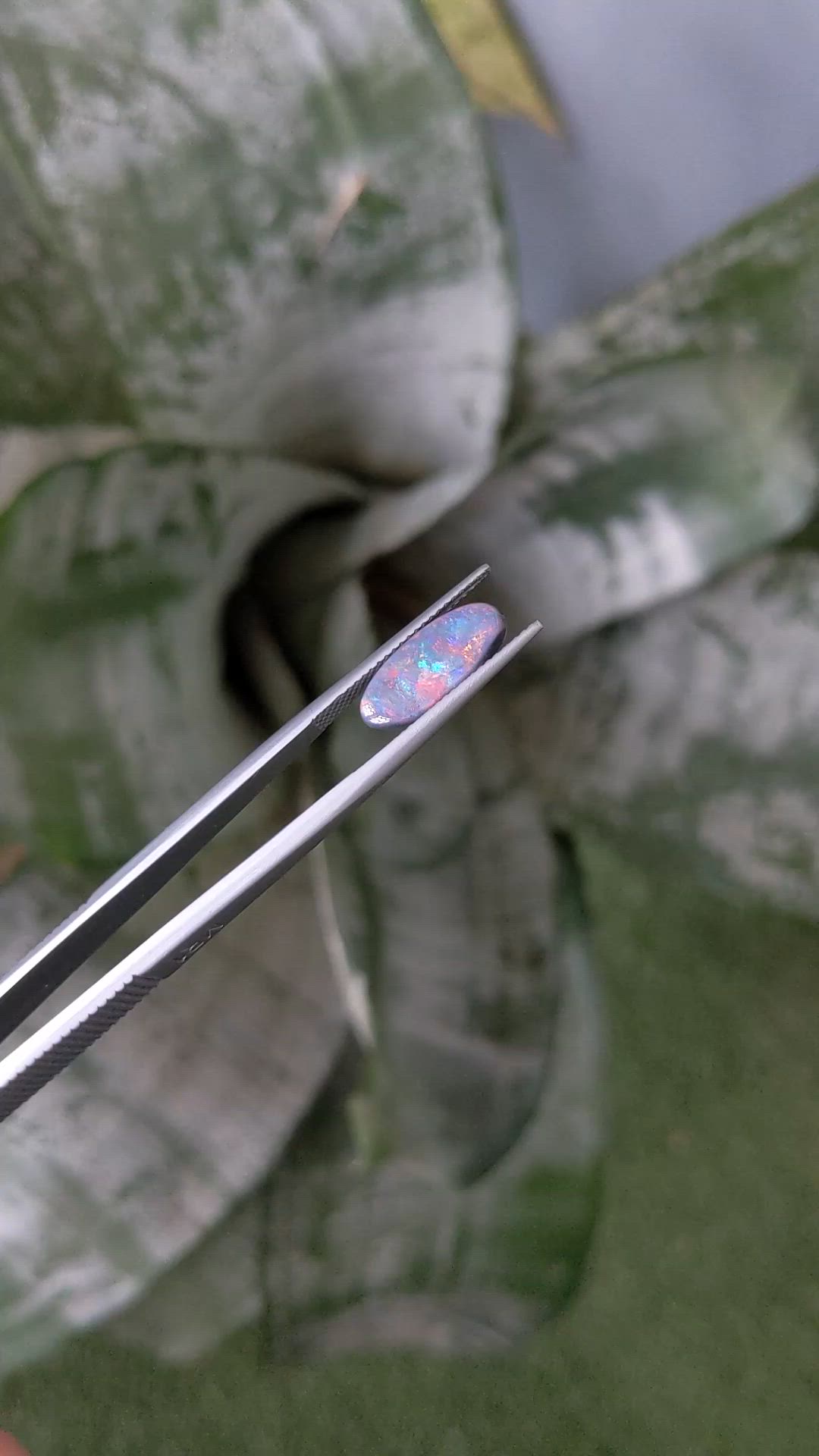 2.42 Ct. Multi Color Cabochon Black Opal from Australia Size Video