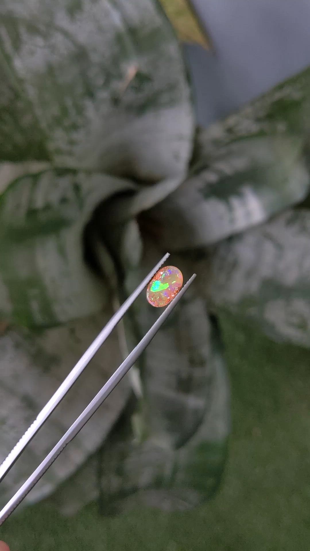 1.14 Ct. Multi Color Cabochon Boulder Opal from Australia Size Video