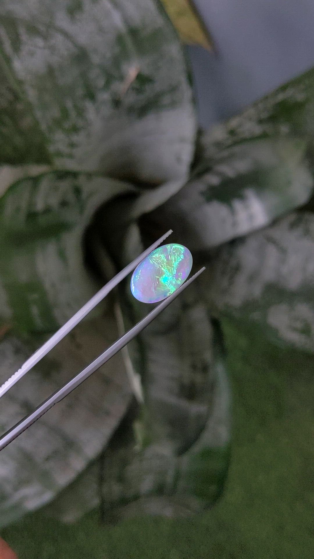 2.62 Ct. Multi Color Cabochon Semi-Black Opal from Australia Size Video