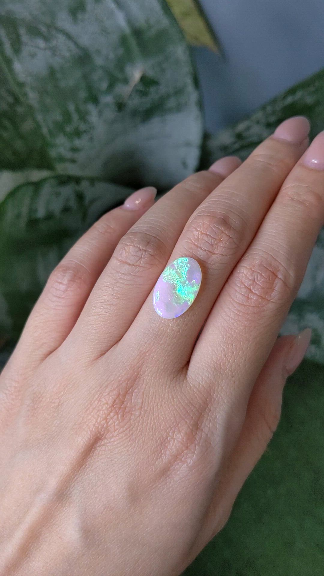 2.62 Ct. Multi Color Cabochon Semi-Black Opal from Australia Size Video