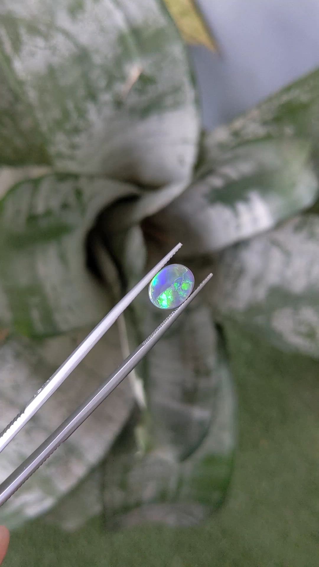 1.66 Ct. Multi Color Cabochon Black Opal from Australia Size Video