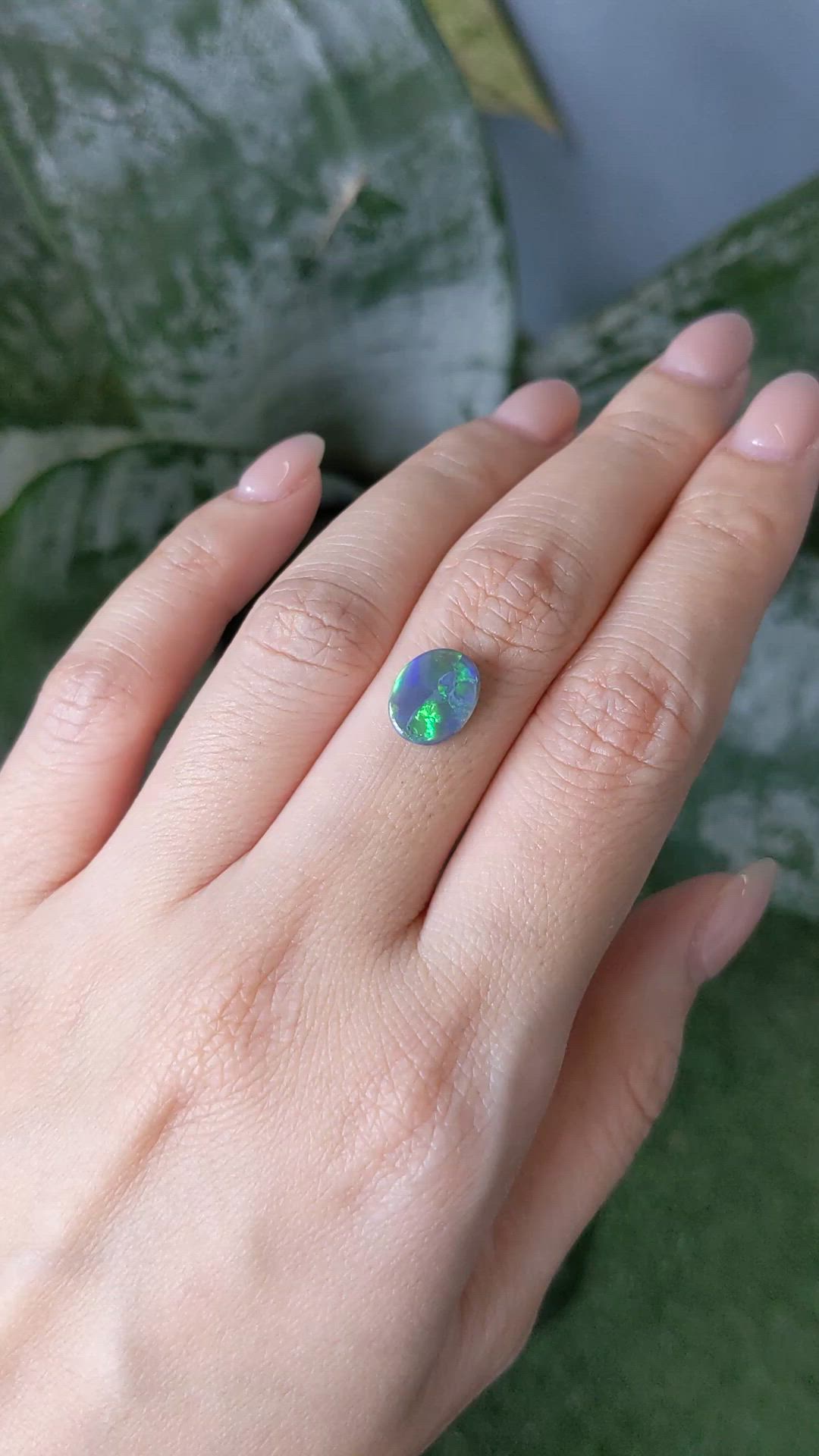 1.66 Ct. Multi Color Cabochon Black Opal from Australia Size Video