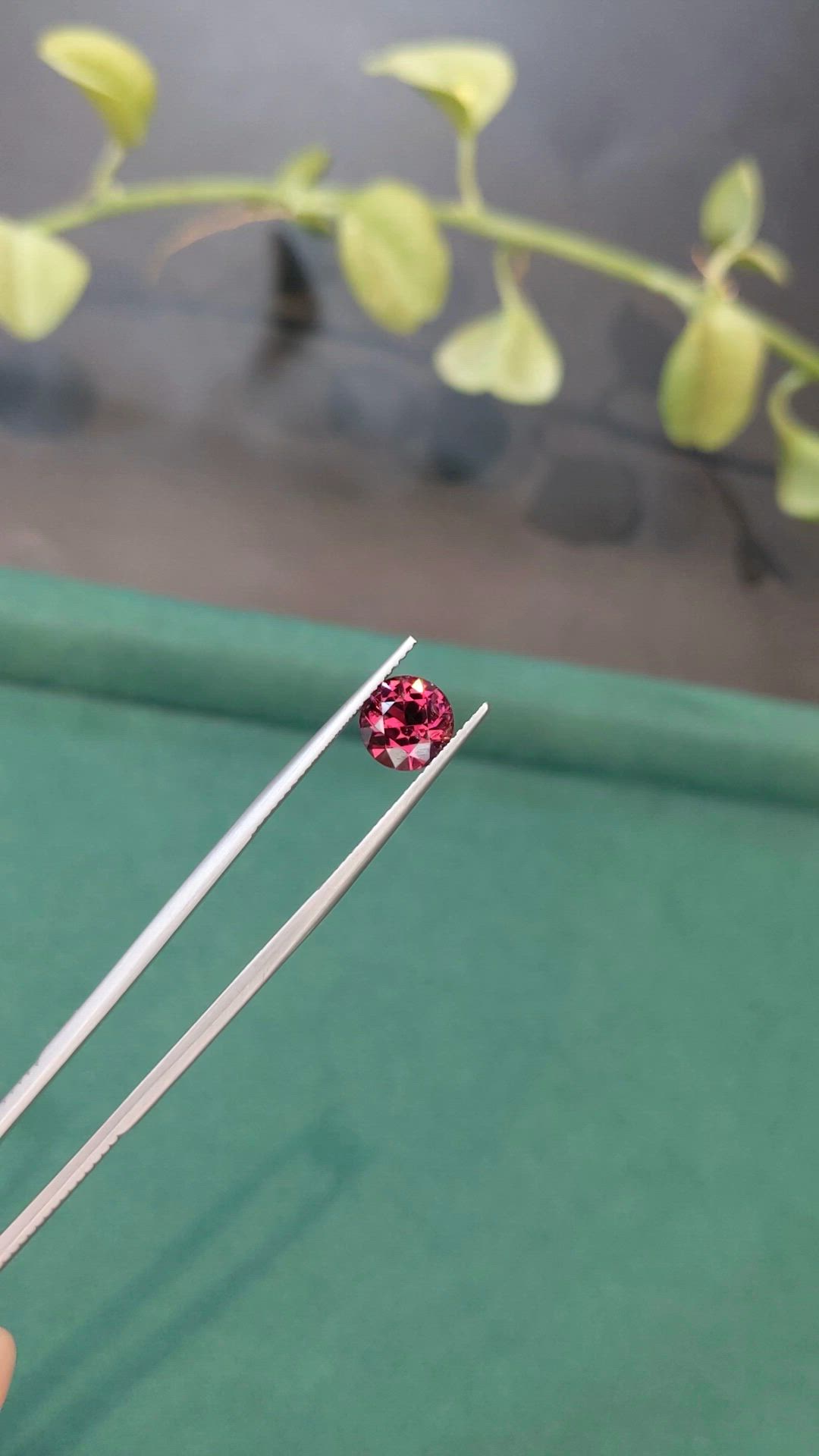 1.86 Ct. Red Spinel from Burma (Myanmar) Size Video