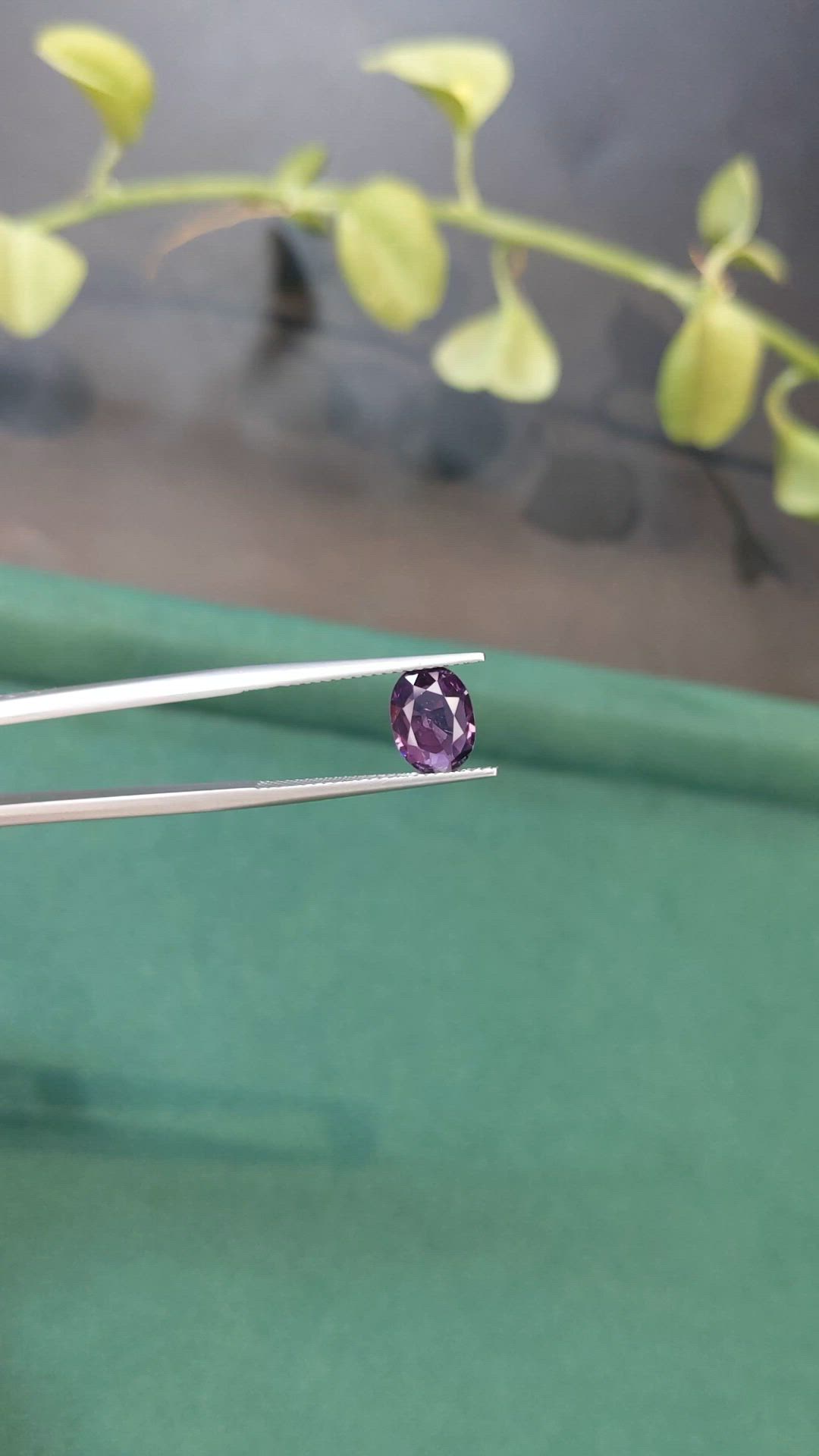 1.56 Ct. Purple Spinel from Burma (Myanmar) Size Video