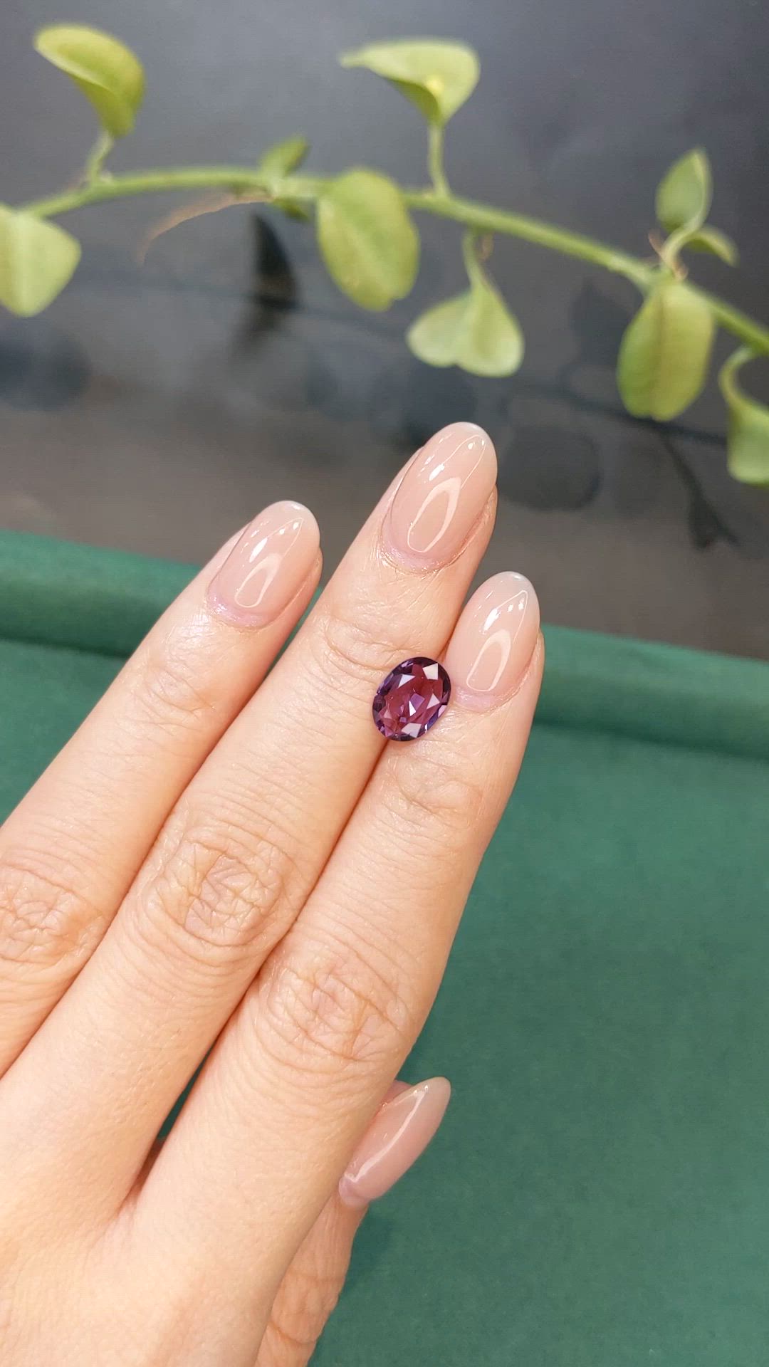 1.56 Ct. Purple Spinel from Burma (Myanmar) Size Video