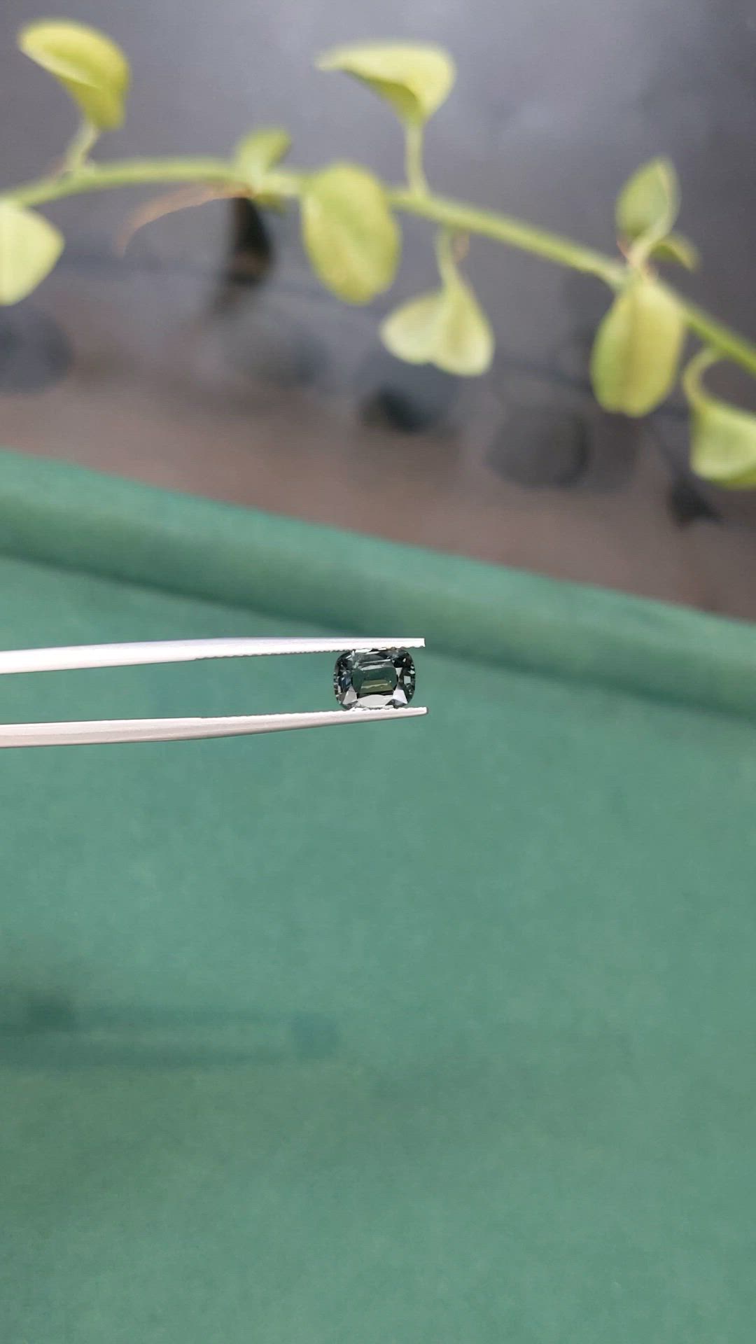 1.39 Ct. Grey Spinel from Burma (Myanmar) Size Video