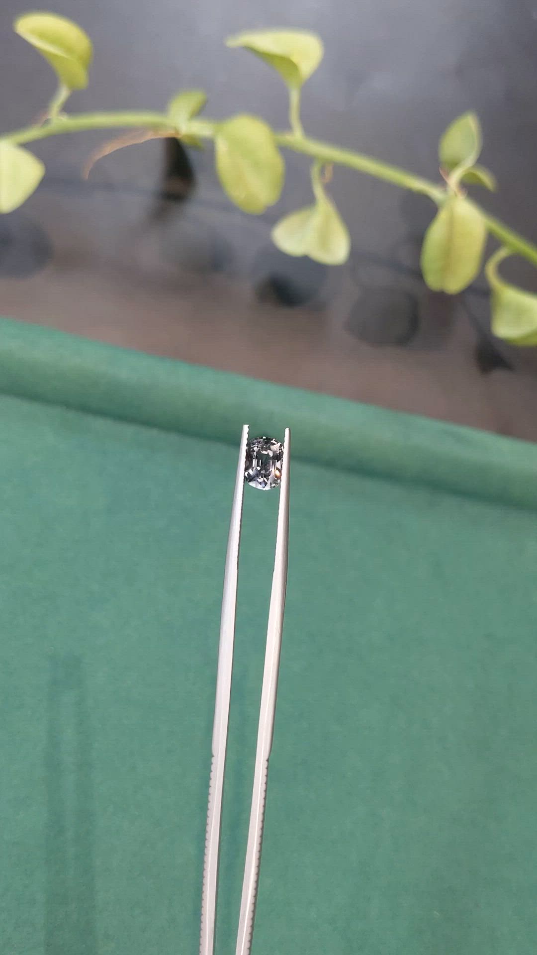 1.50 Ct. Grey Spinel from Burma (Myanmar) Size Video