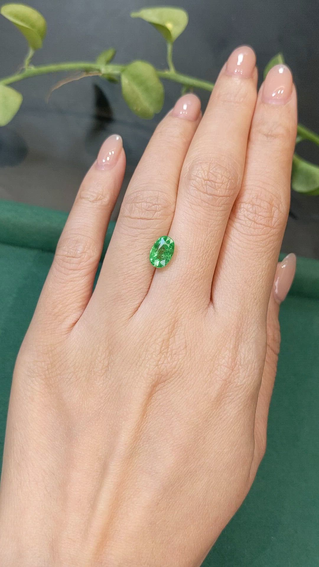 2.27 Ct. Tsavorite Garnet from Tanzania Size Video