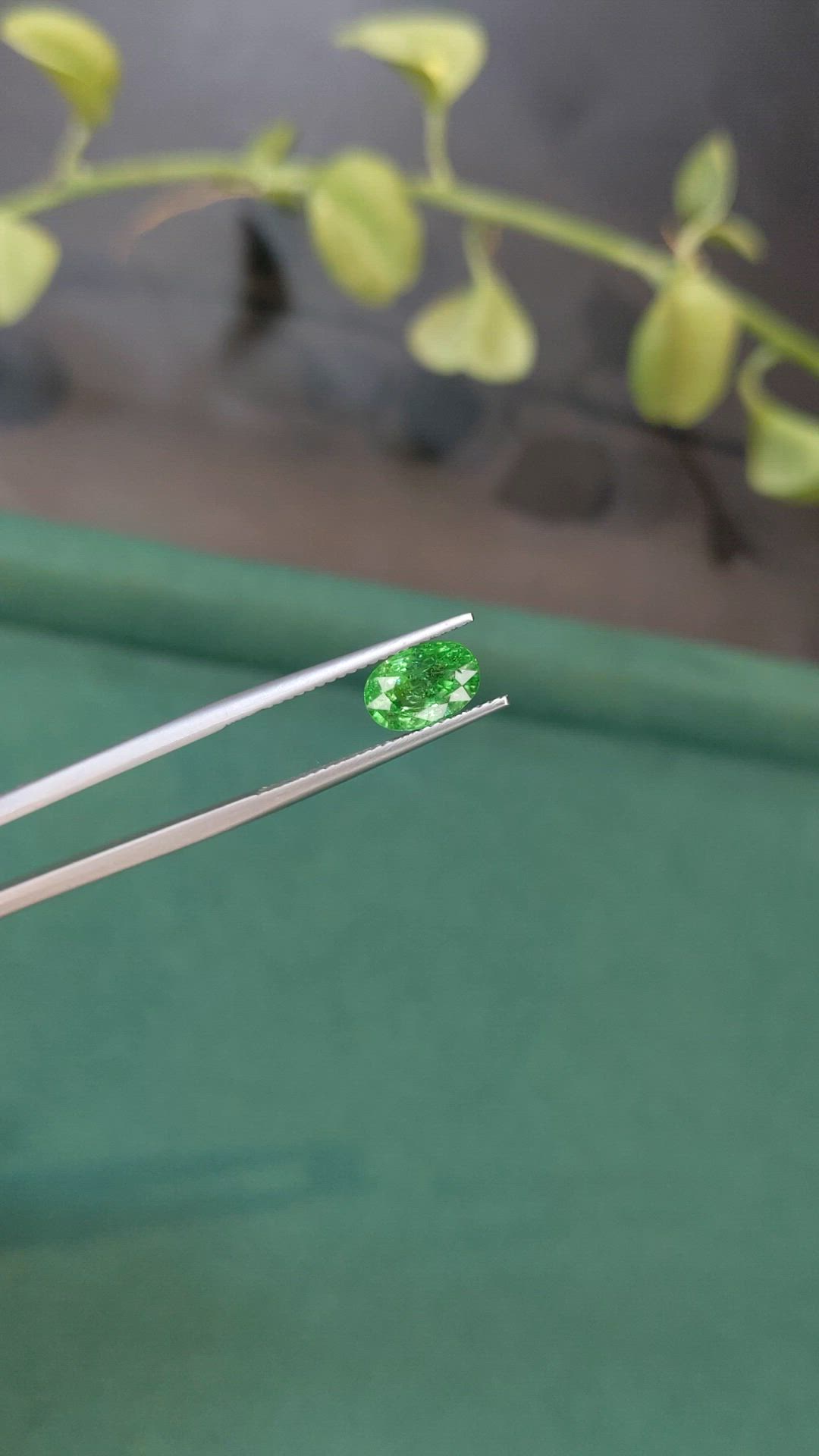 2.27 Ct. Tsavorite Garnet from Tanzania Size Video