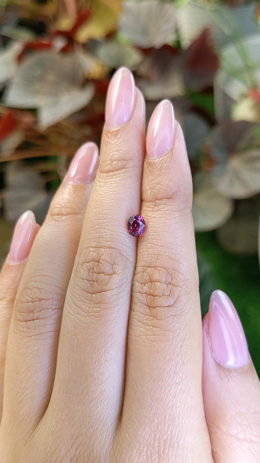 0.71 Ct. Purplish Pink Rhodolite Garnet from Ceylon (Sri Lanka) Size Video