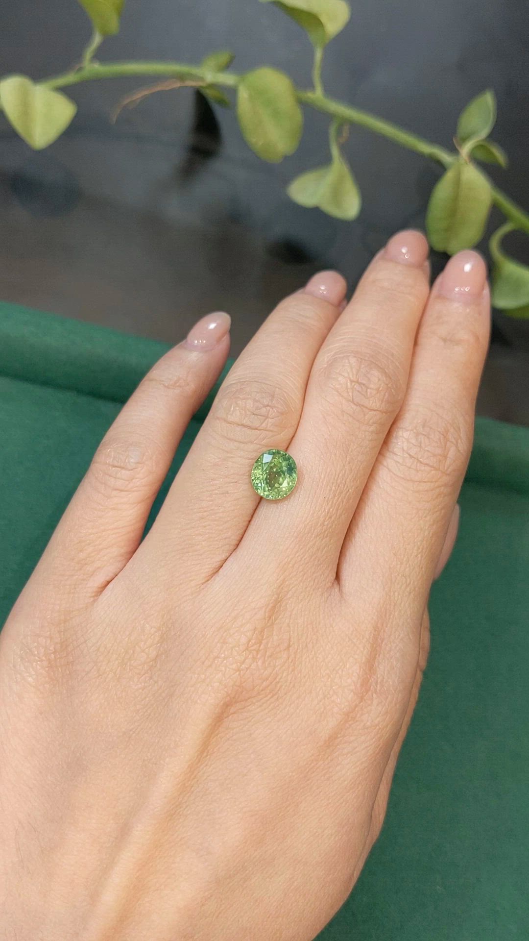 3.10 Ct. Green Zircon from Ceylon (Sri Lanka) Size Video