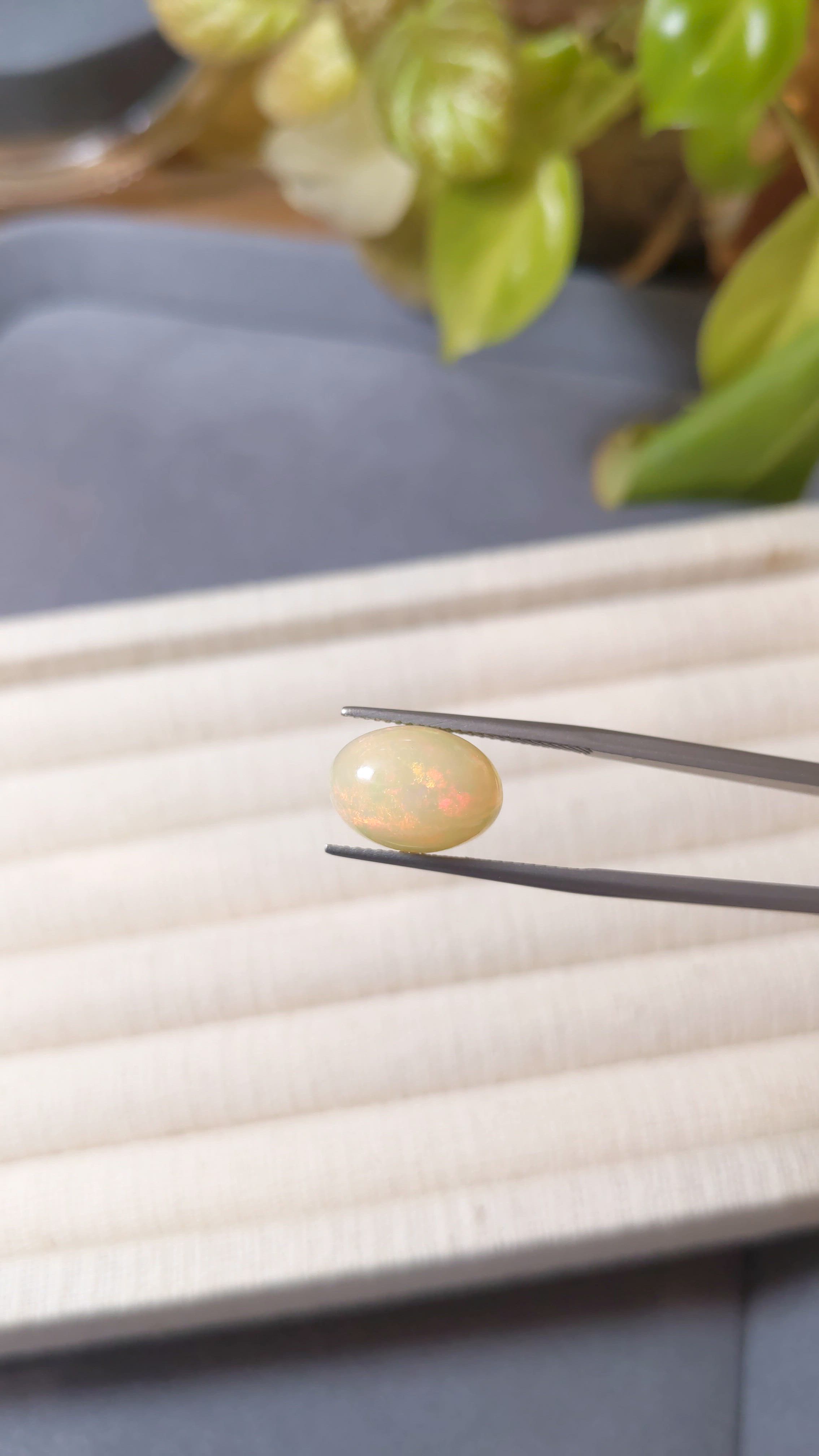 5.84 Ct. Multi Color Cabochon White Opal from Ethiopia Size Video