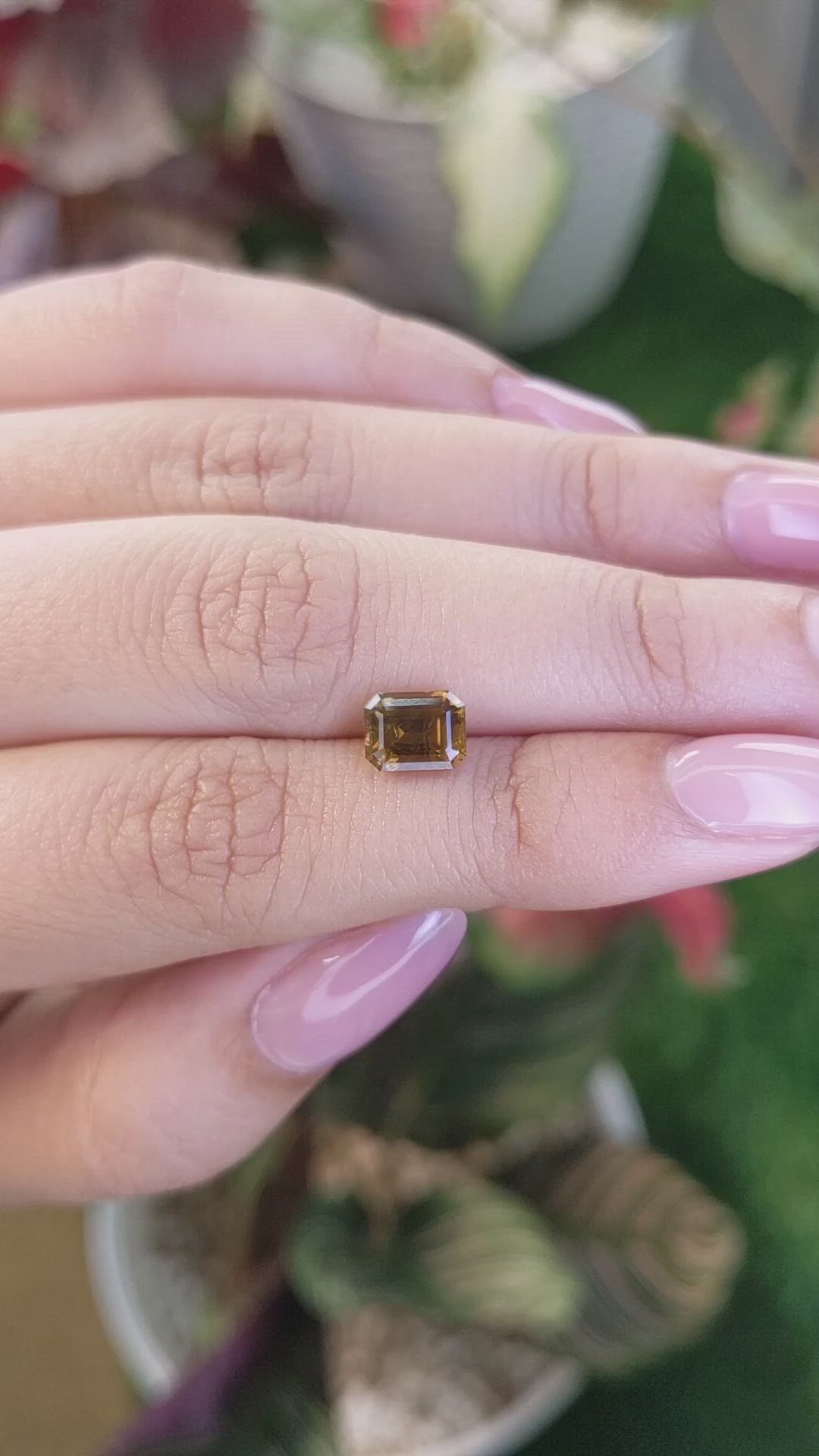 1.76 Ct. Yellowish Brown Chrysoberyl from Ceylon (Sri Lanka) Size Video
