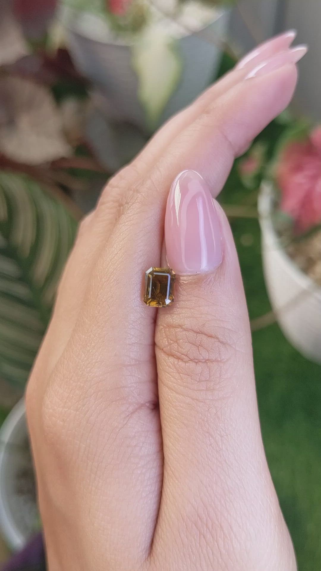 1.76 Ct. Yellowish Brown Chrysoberyl from Ceylon (Sri Lanka) Size Video