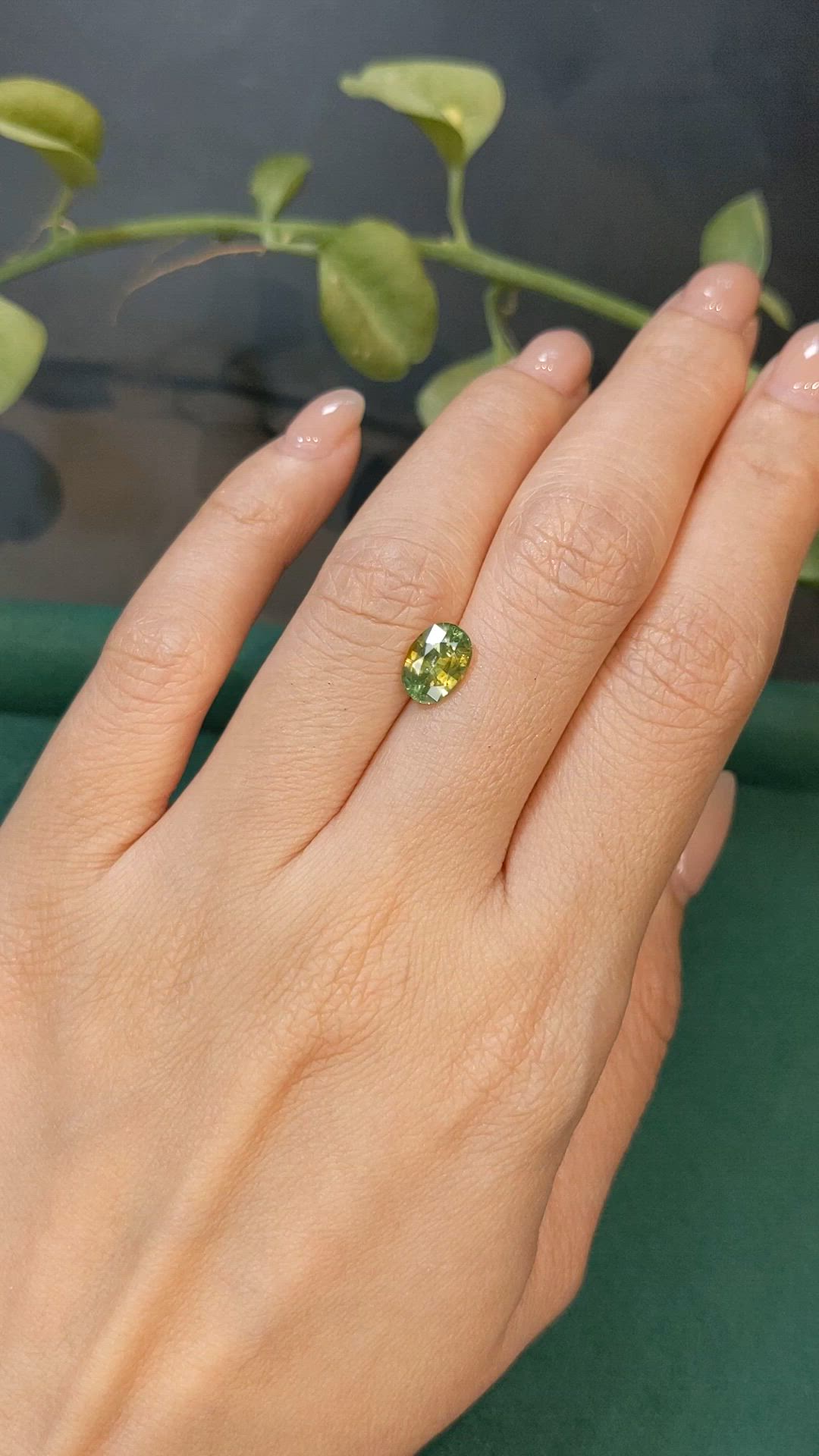 1.82 Ct. Yellowish Green Zircon from Ceylon (Sri Lanka) Size Video