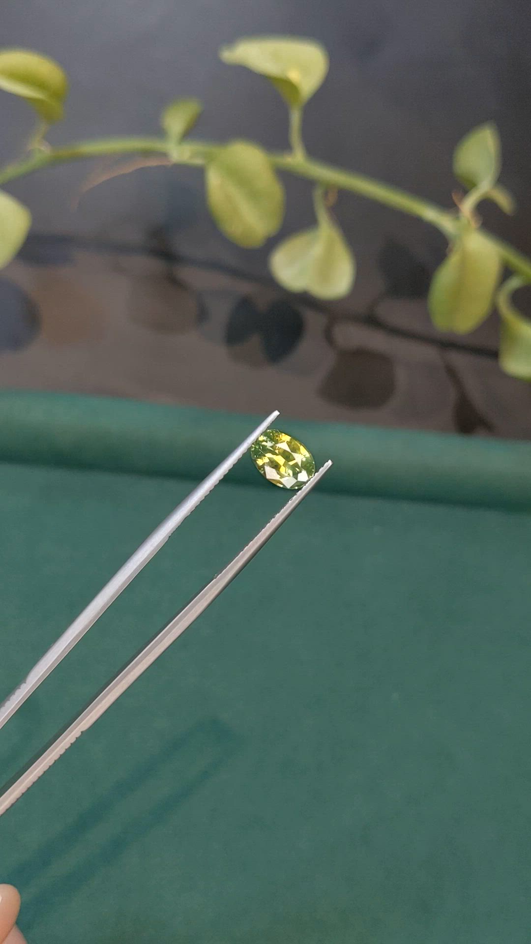 1.82 Ct. Yellowish Green Zircon from Ceylon (Sri Lanka) Size Video