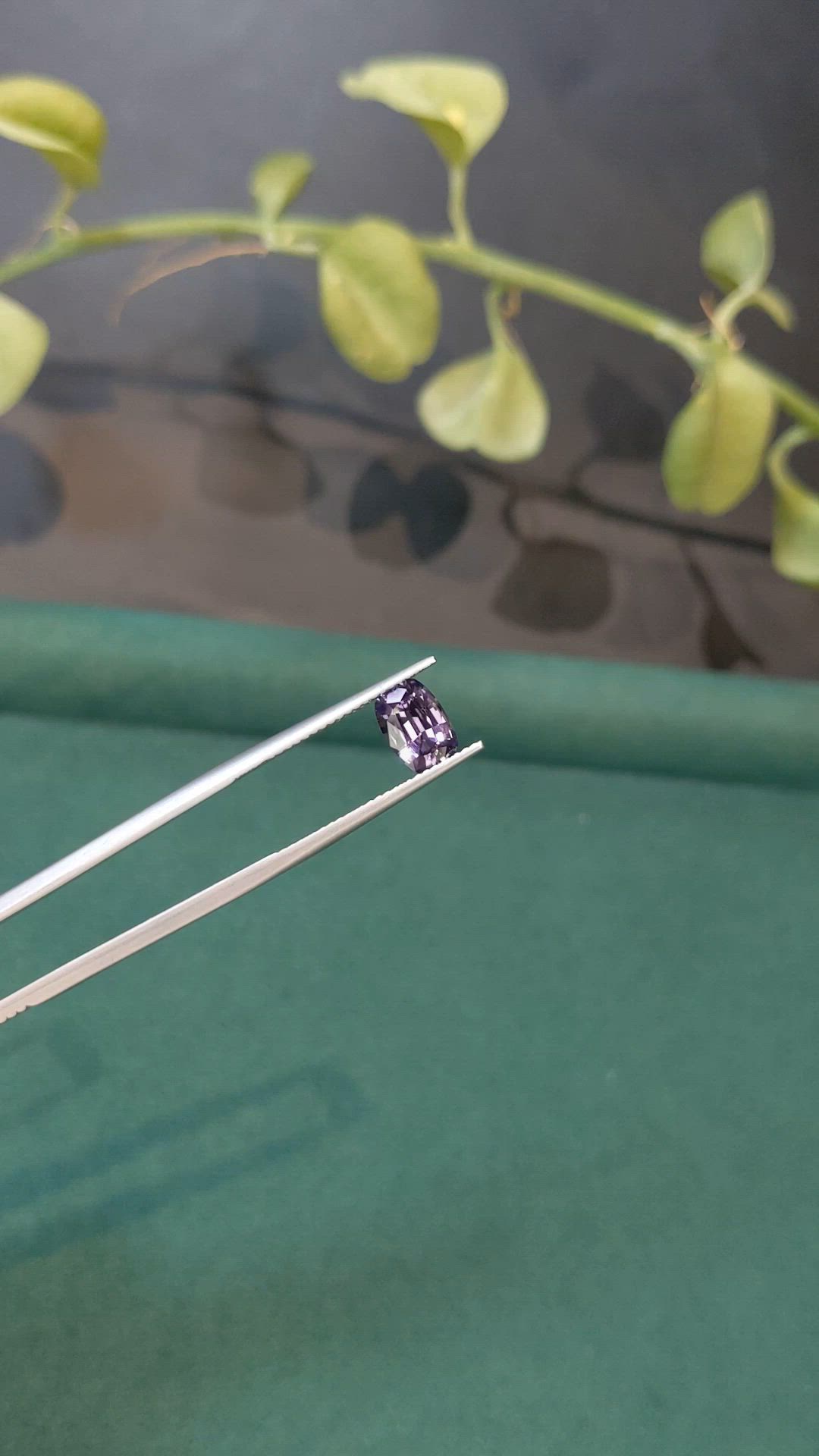 1.32 Ct. Purple Spinel from Ceylon (Sri Lanka) Size Video
