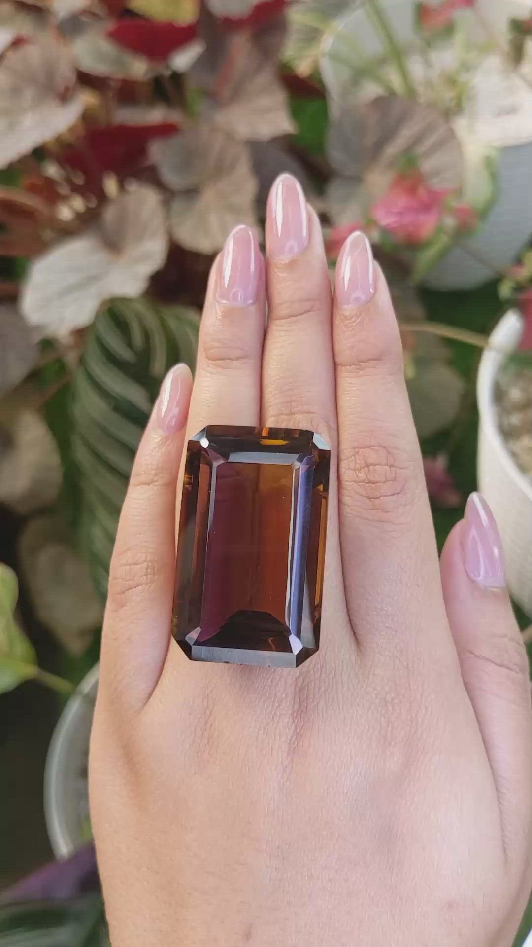 127.17 Ct. Bi Color Ametrine from Ceylon (Sri Lanka) Size Video